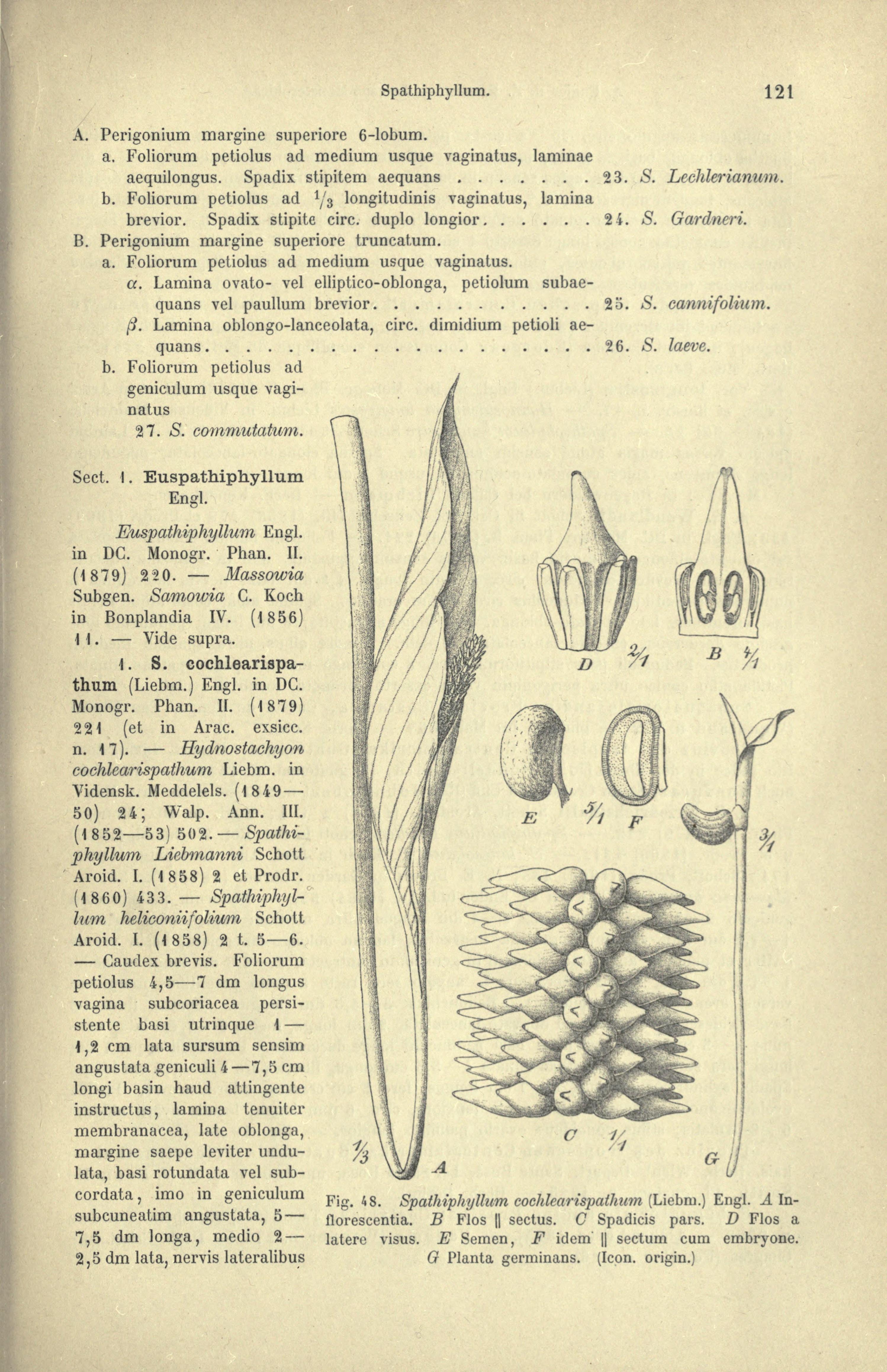 no full size  illustration available (3a)