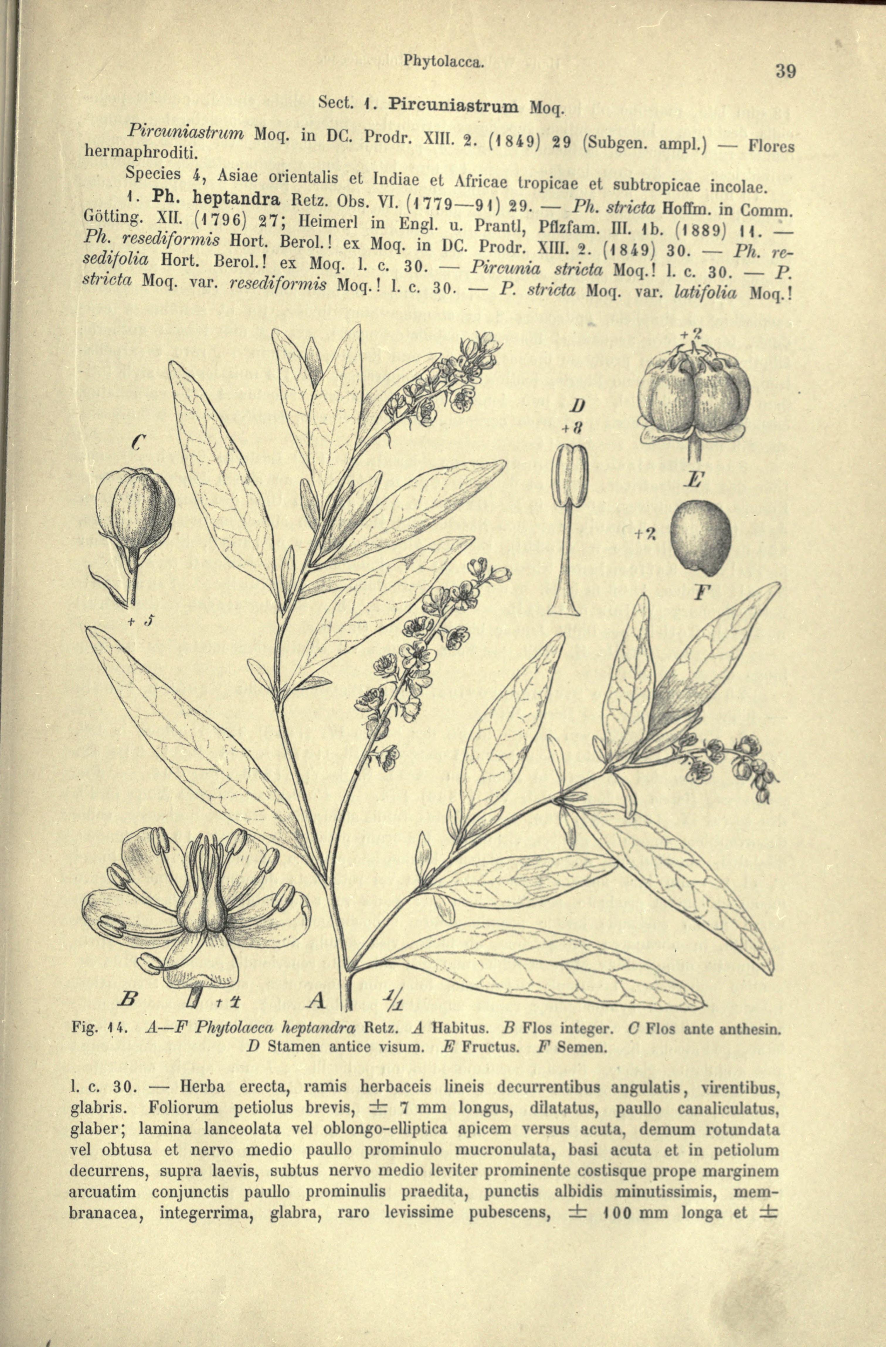 no full size  illustration available (3a)