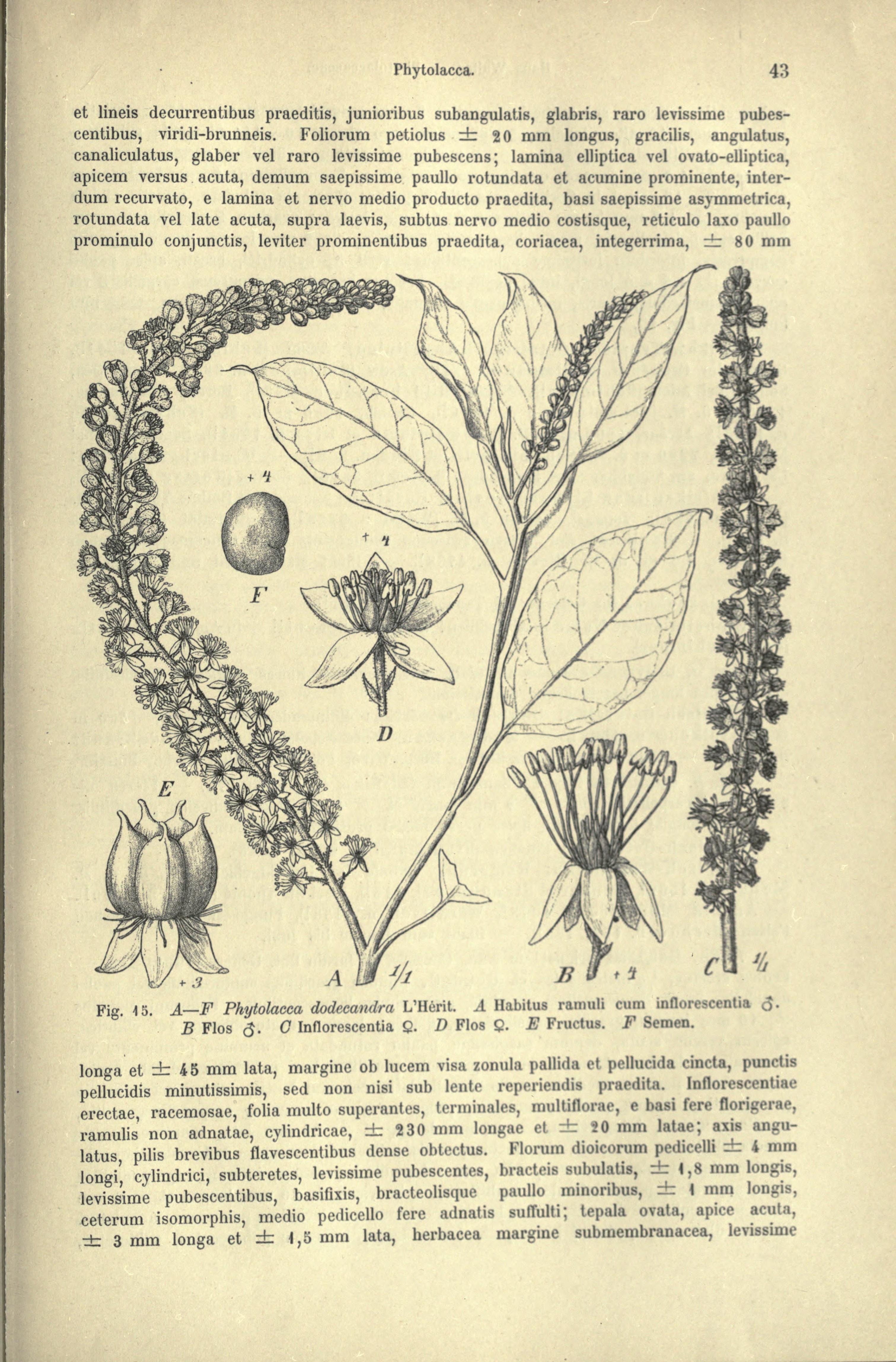 no full size  illustration available (3a)