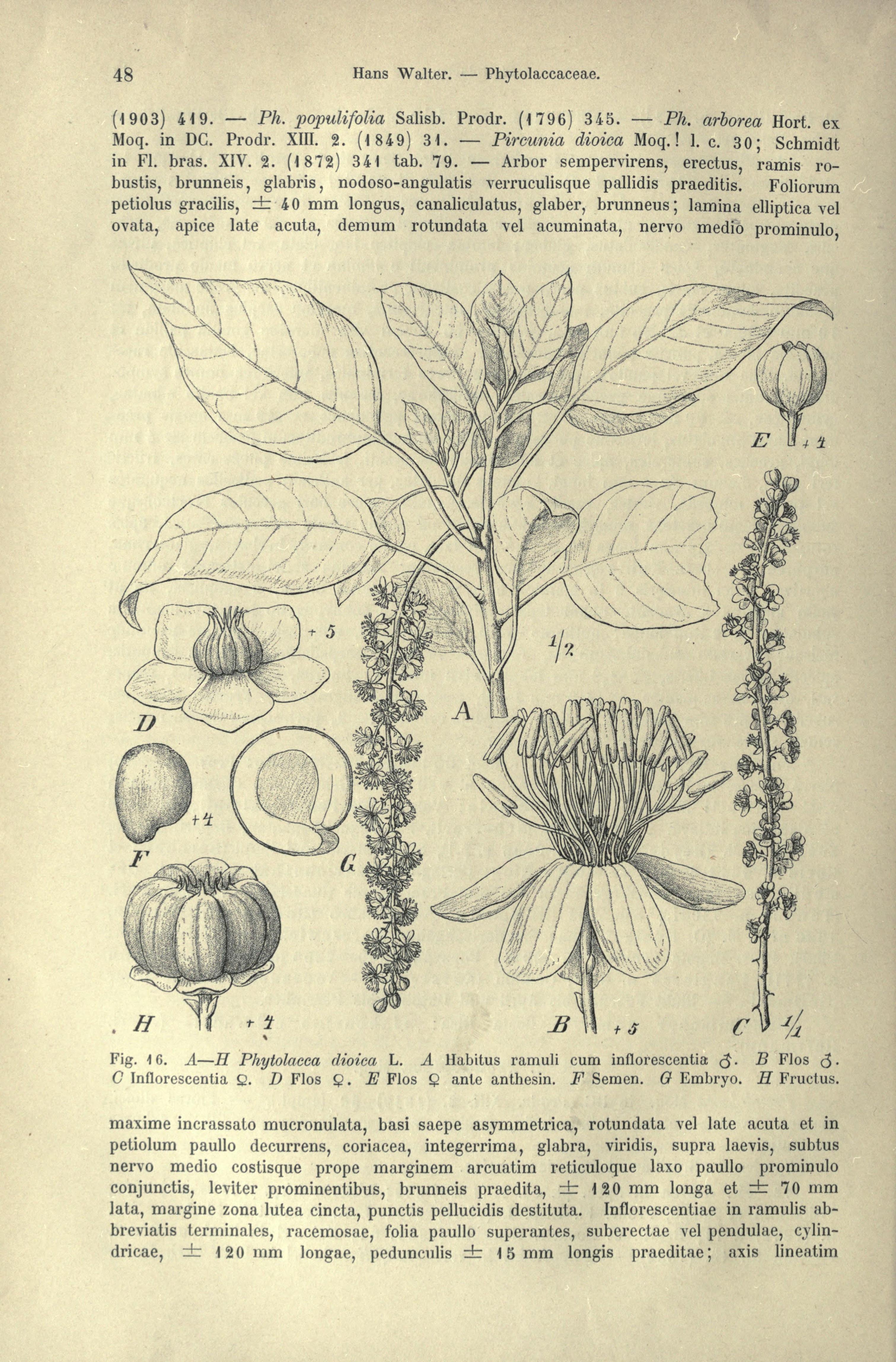 no full size  illustration available (3a)