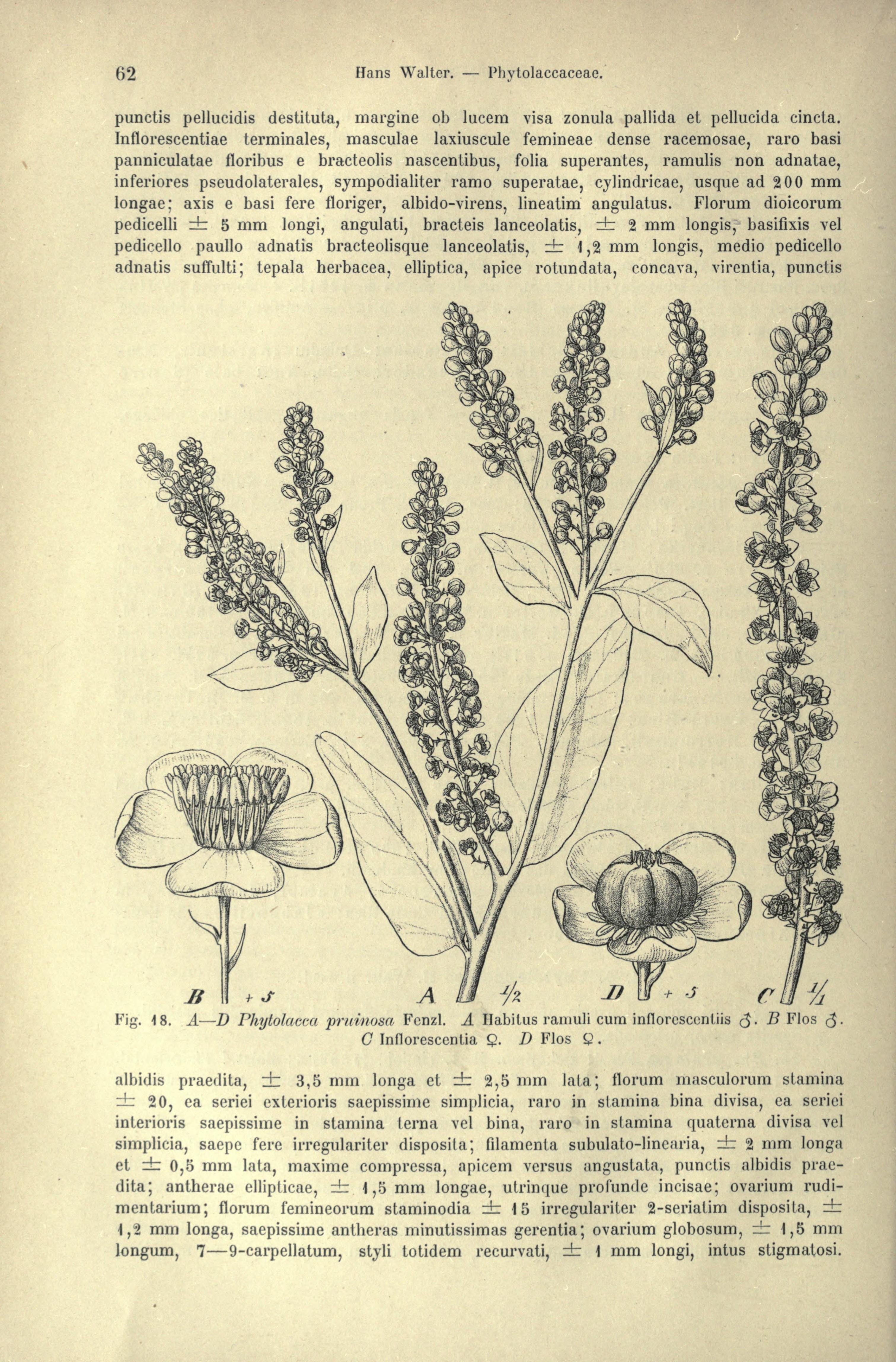 no full size  illustration available (3a)