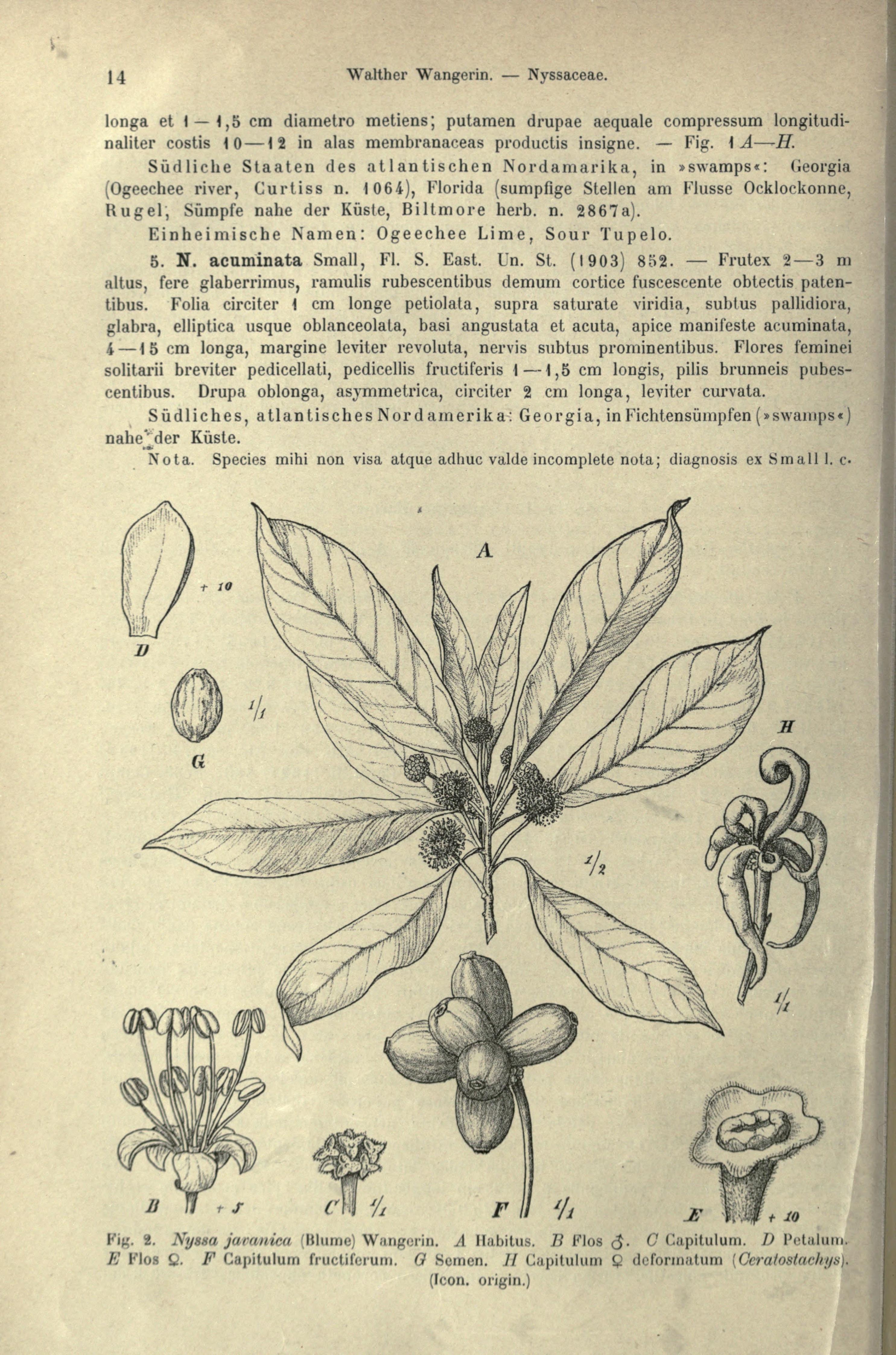 no full size  illustration available (3a)