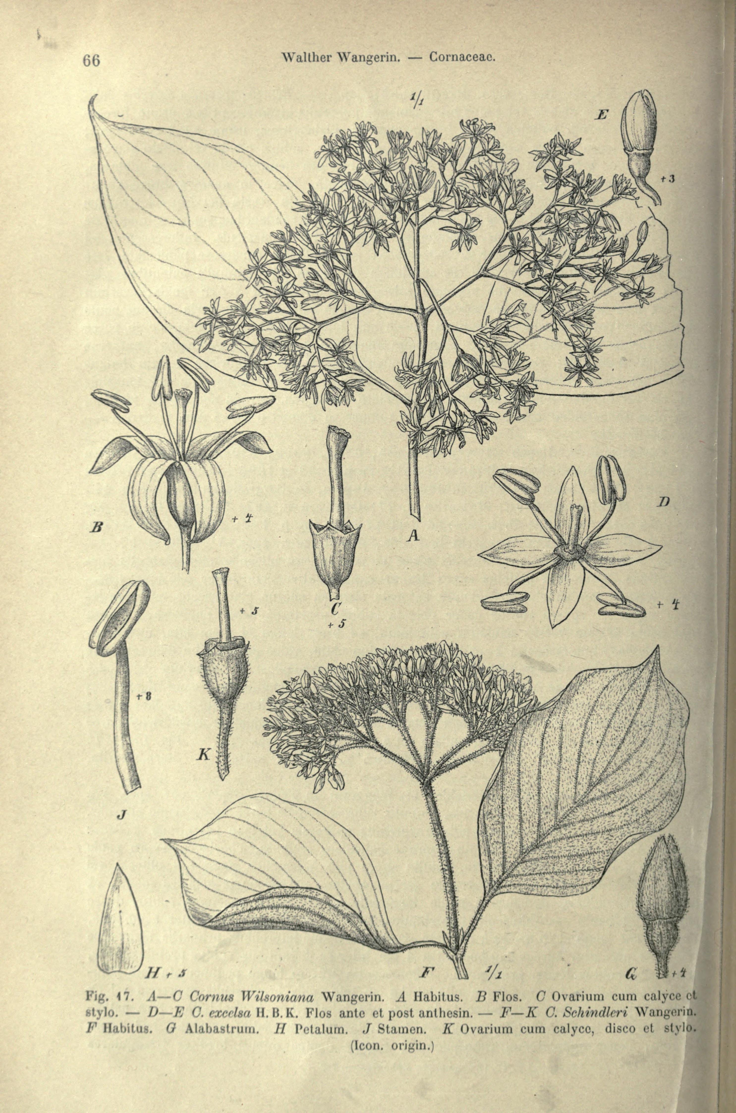 no full size  illustration available (3a)