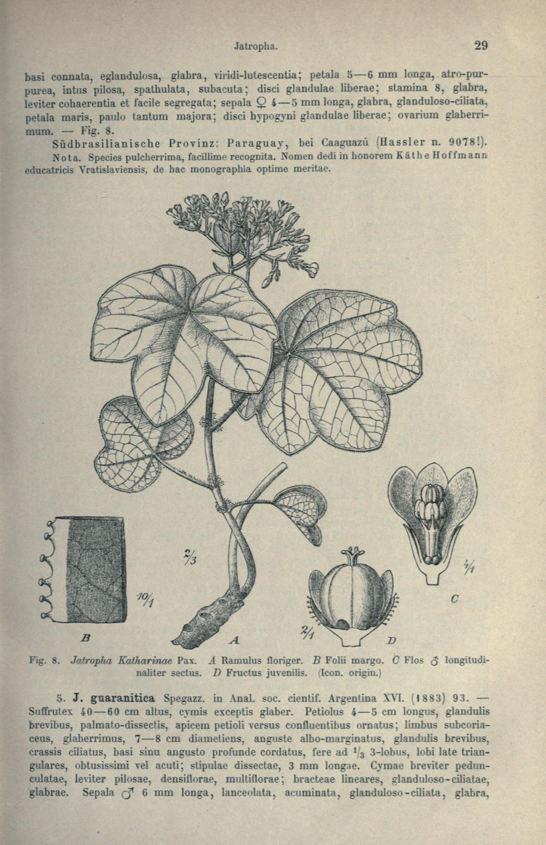 no full size  illustration available (3a)