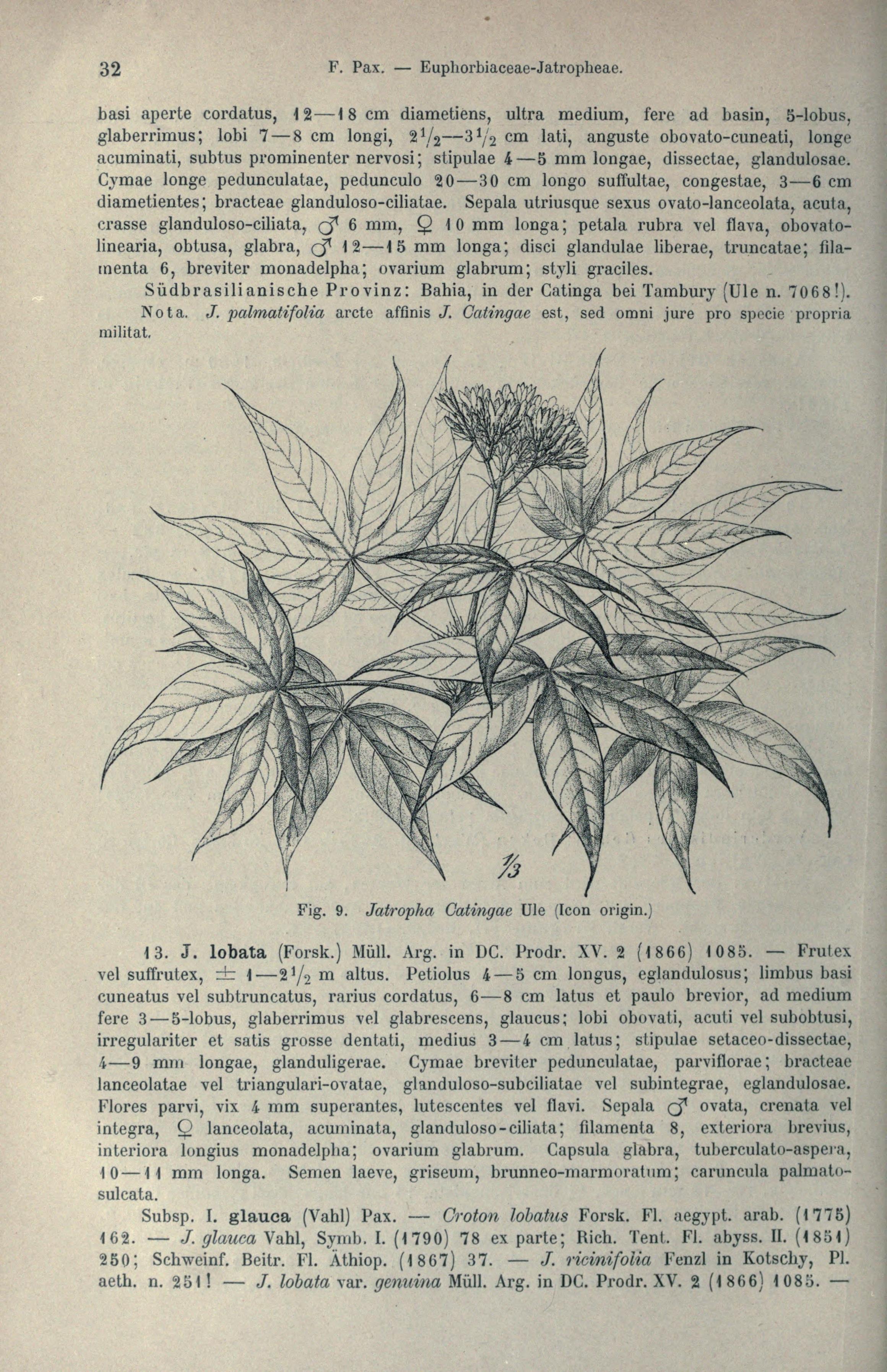 no full size  illustration available (3a)