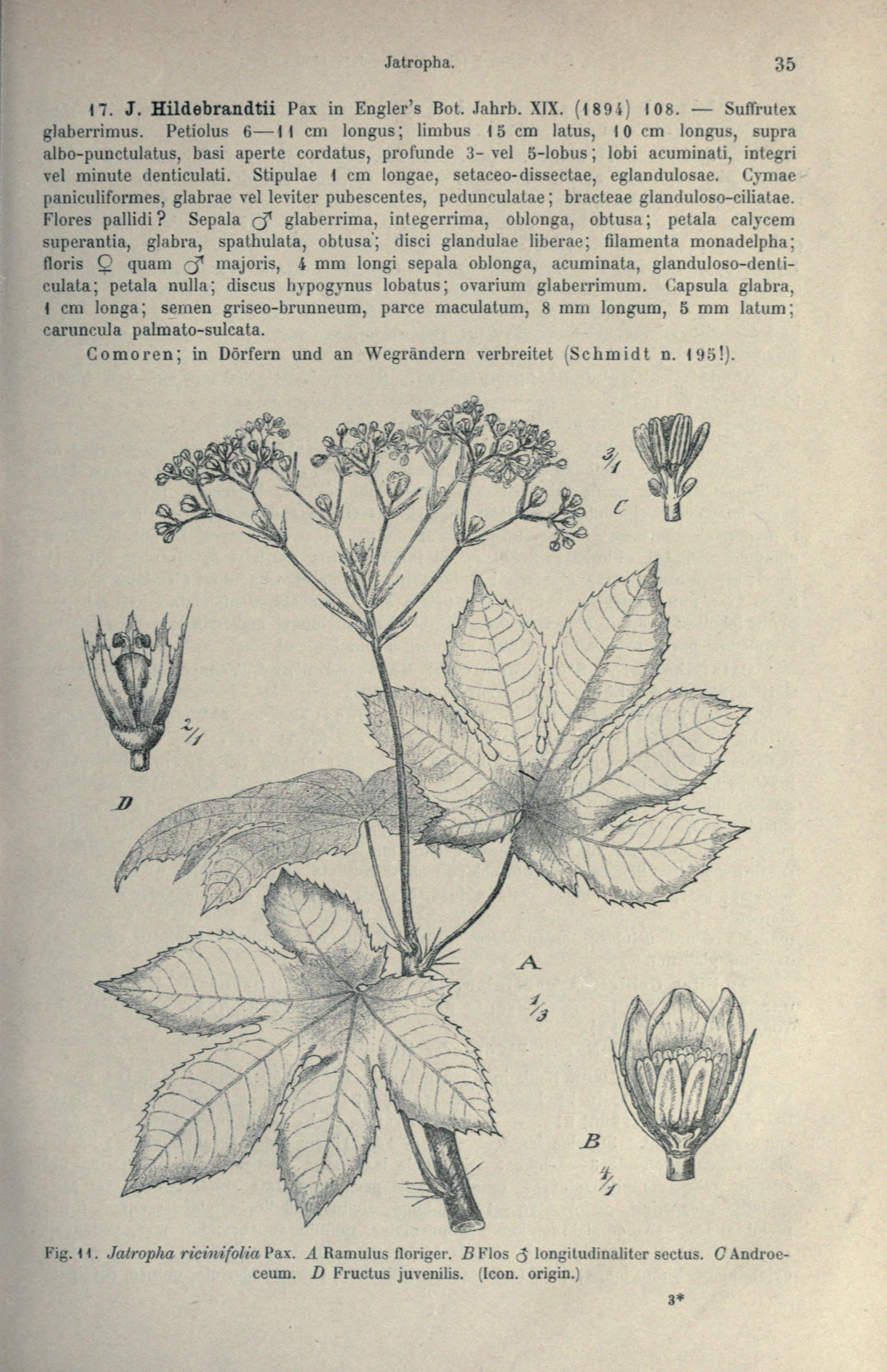 no full size  illustration available (3a)