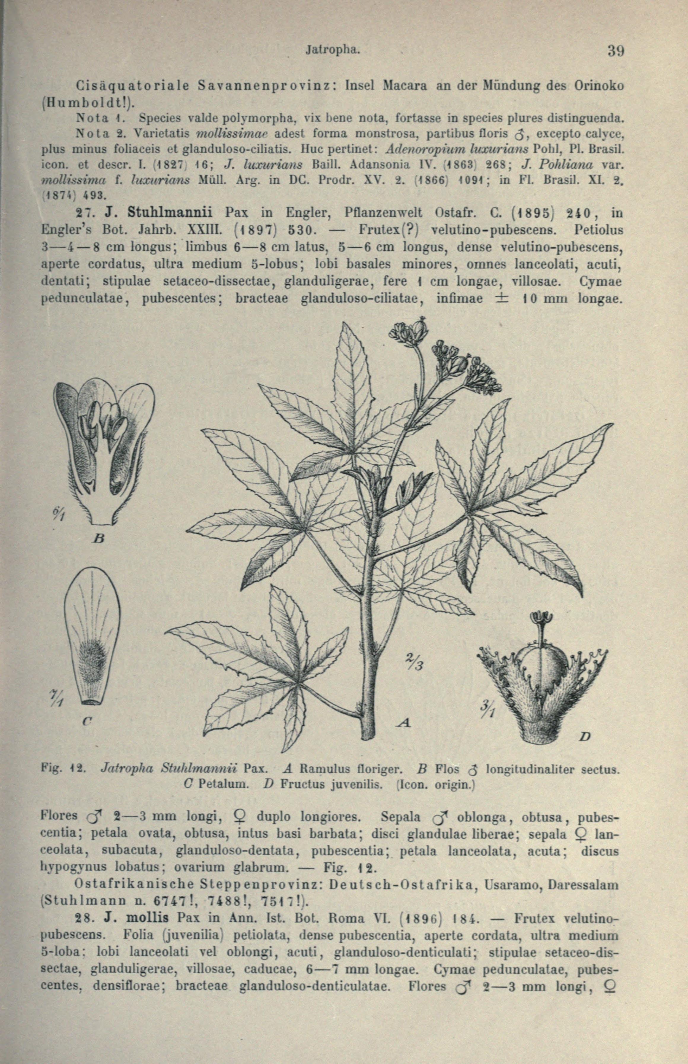 no full size  illustration available (3a)