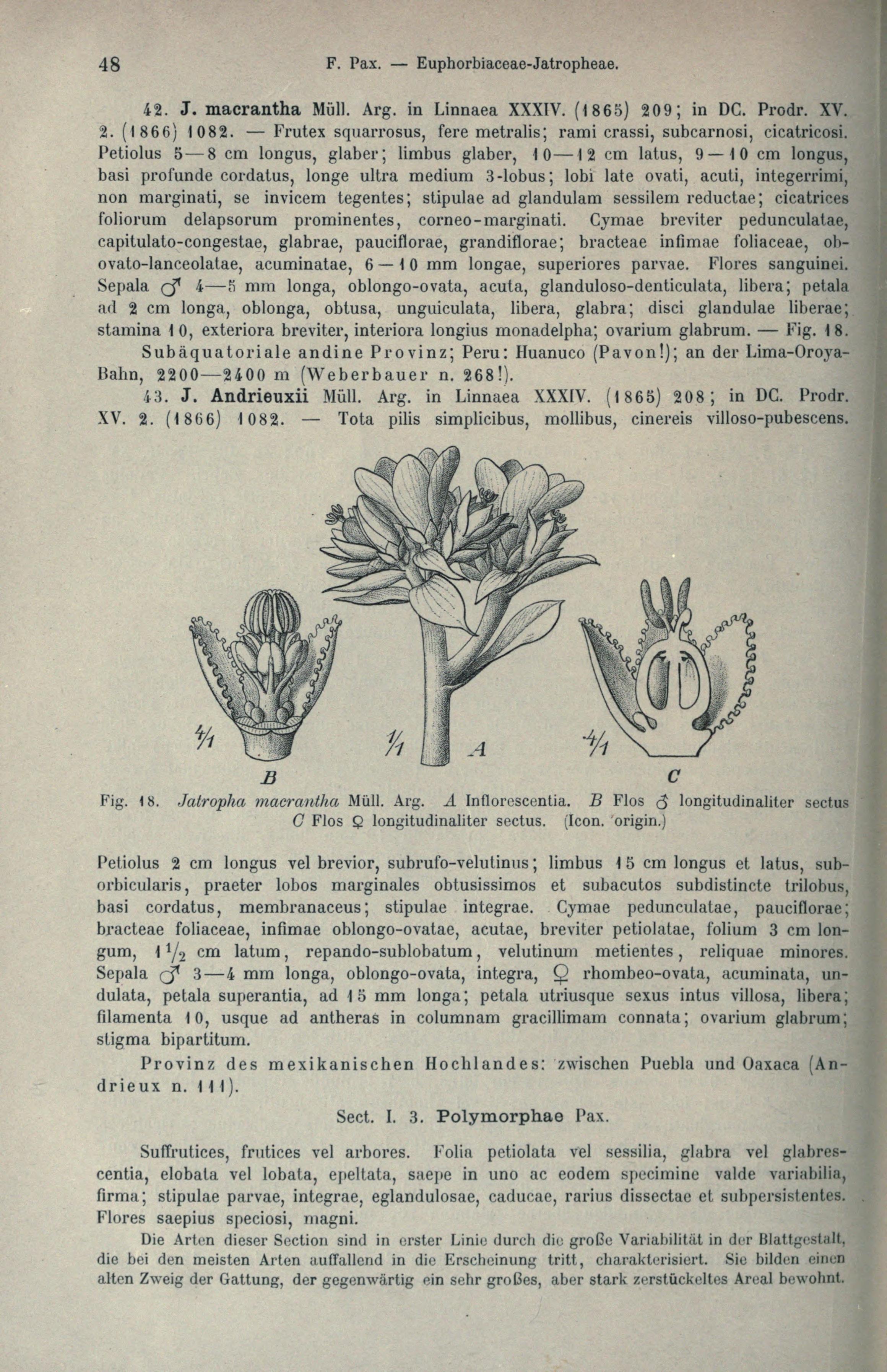 no full size  illustration available (3a)