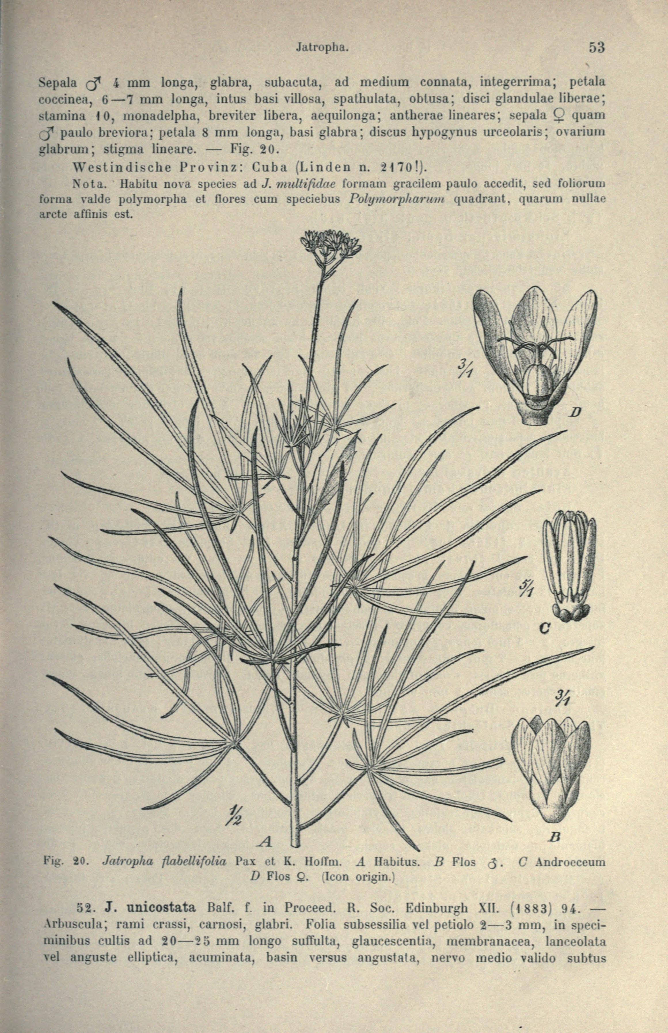 no full size  illustration available (3a)