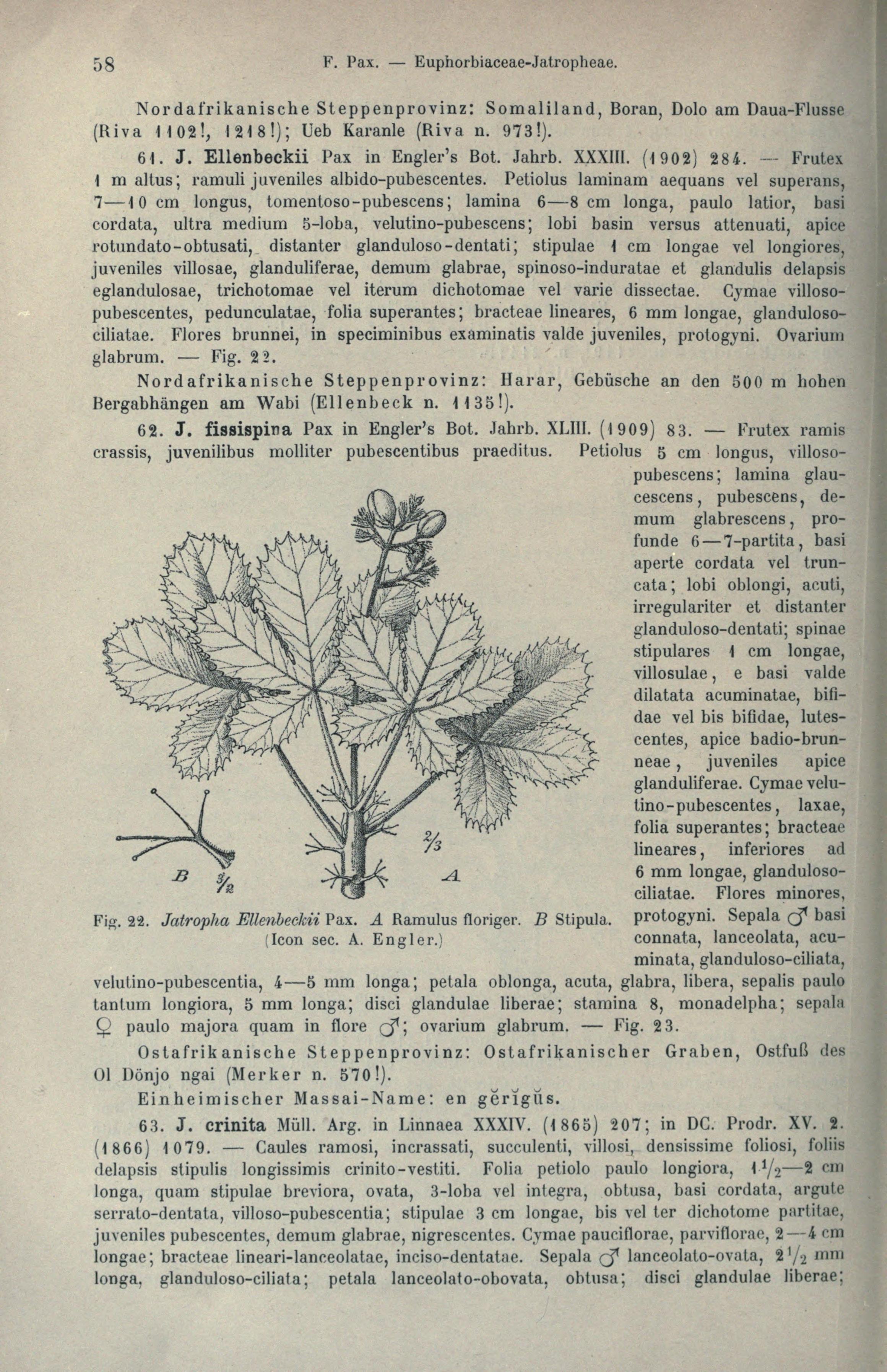 no full size  illustration available (3a)