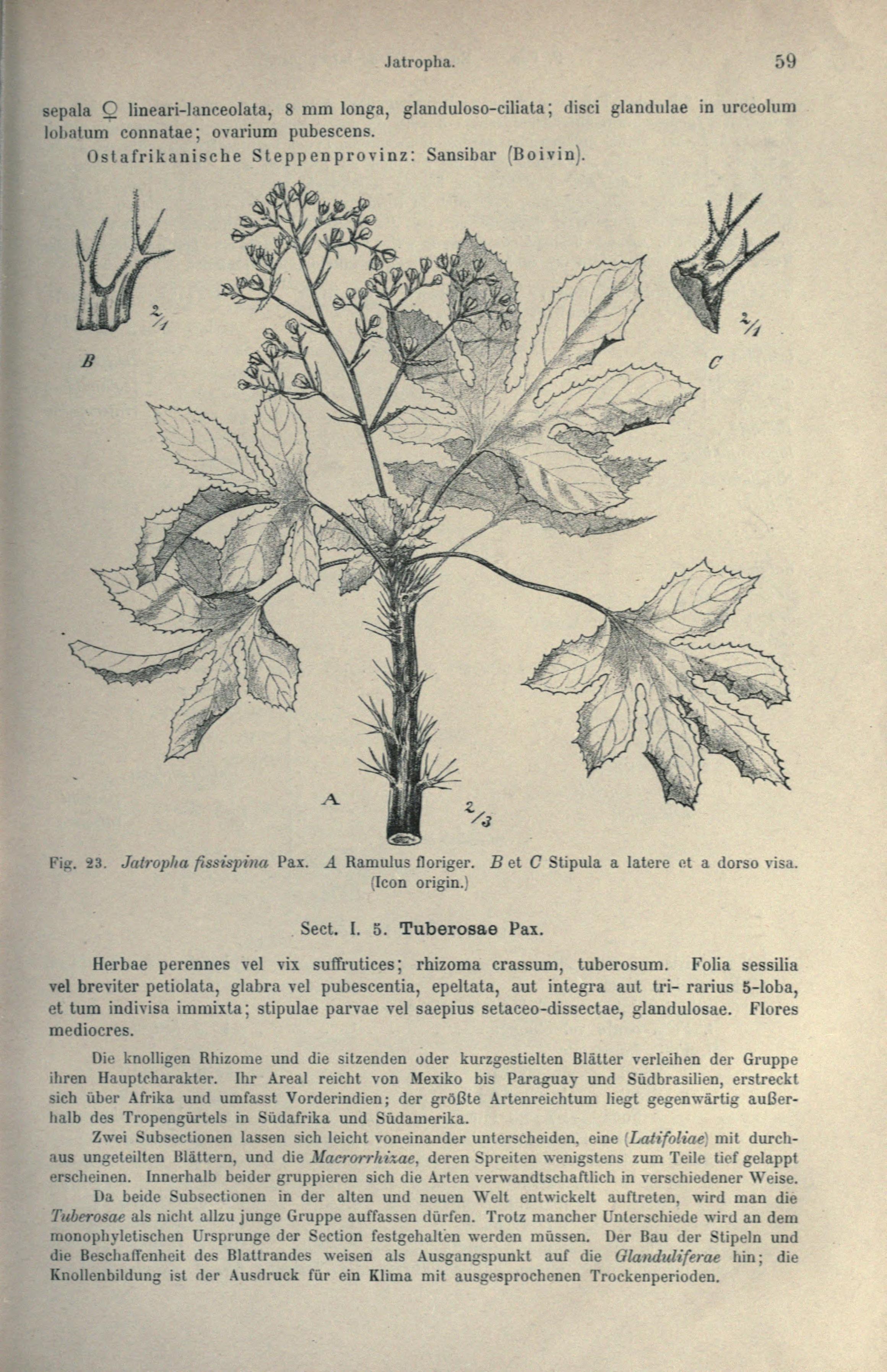 no full size  illustration available (3a)