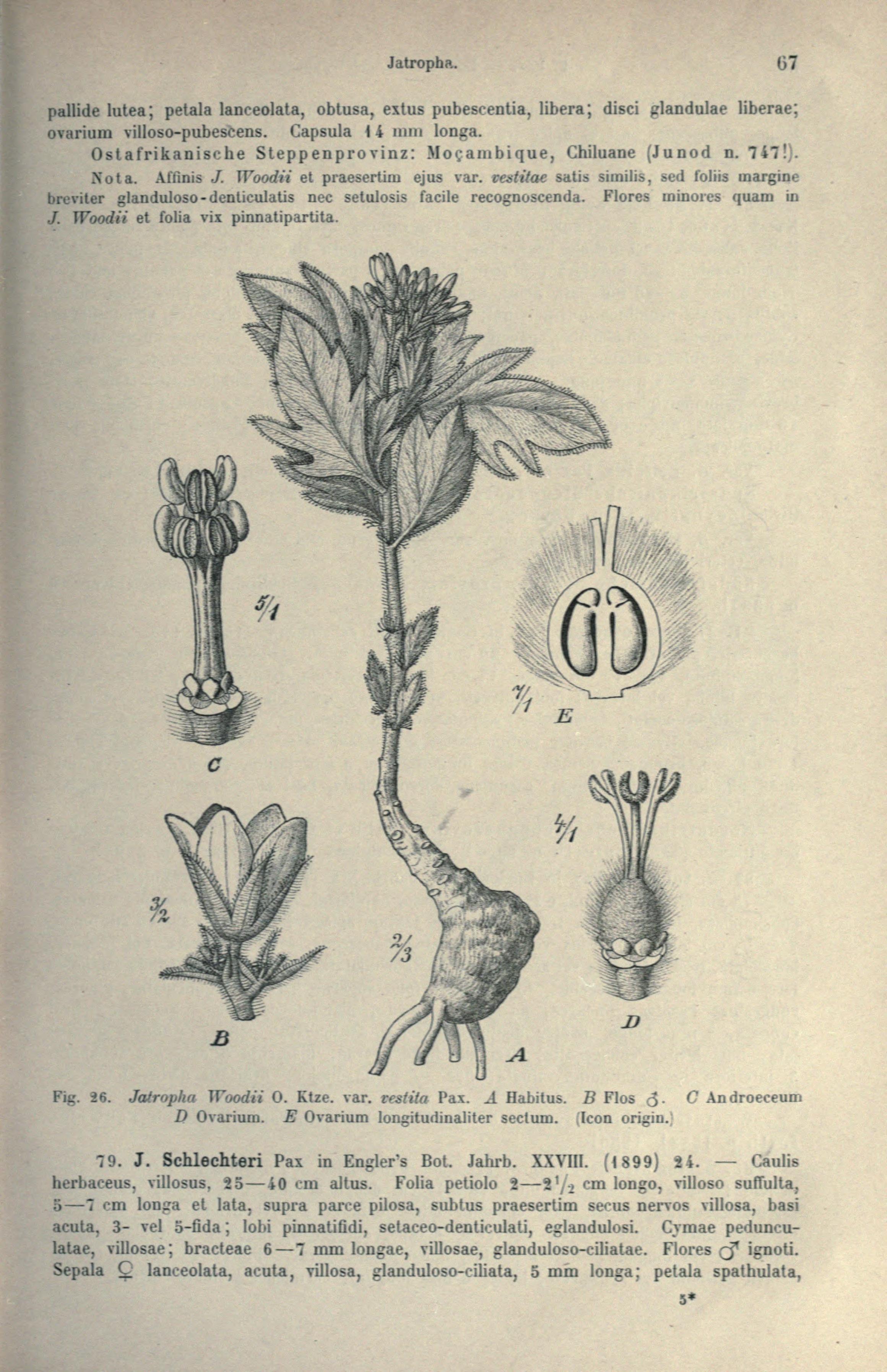 no full size  illustration available (3a)