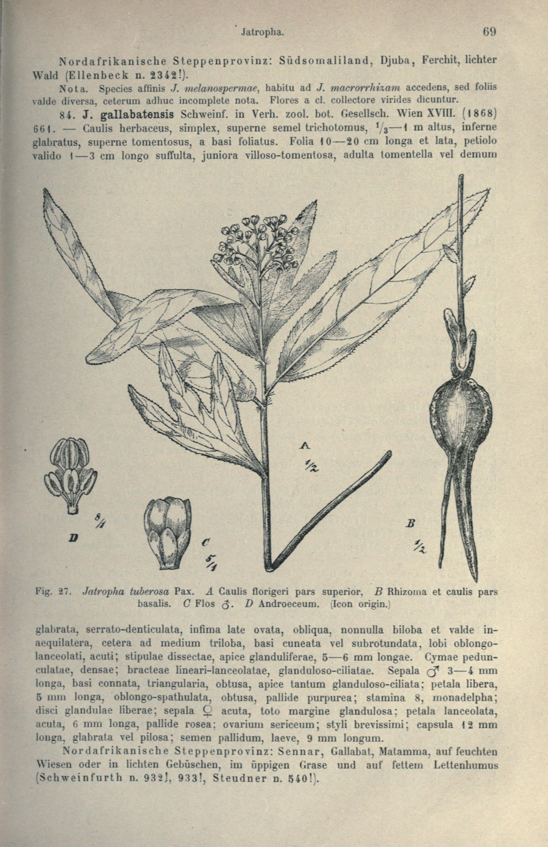 no full size  illustration available (3a)