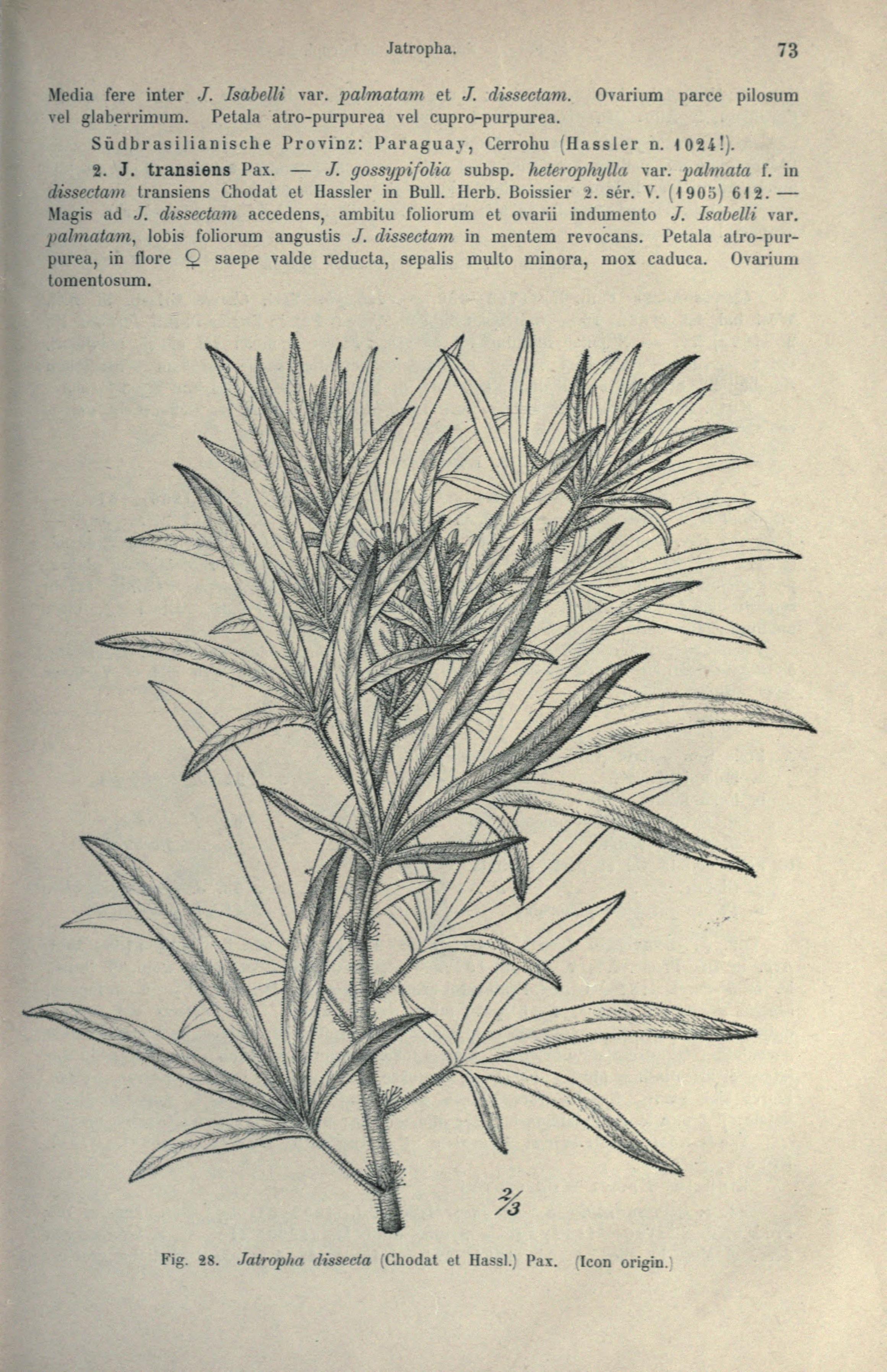 no full size  illustration available (3a)