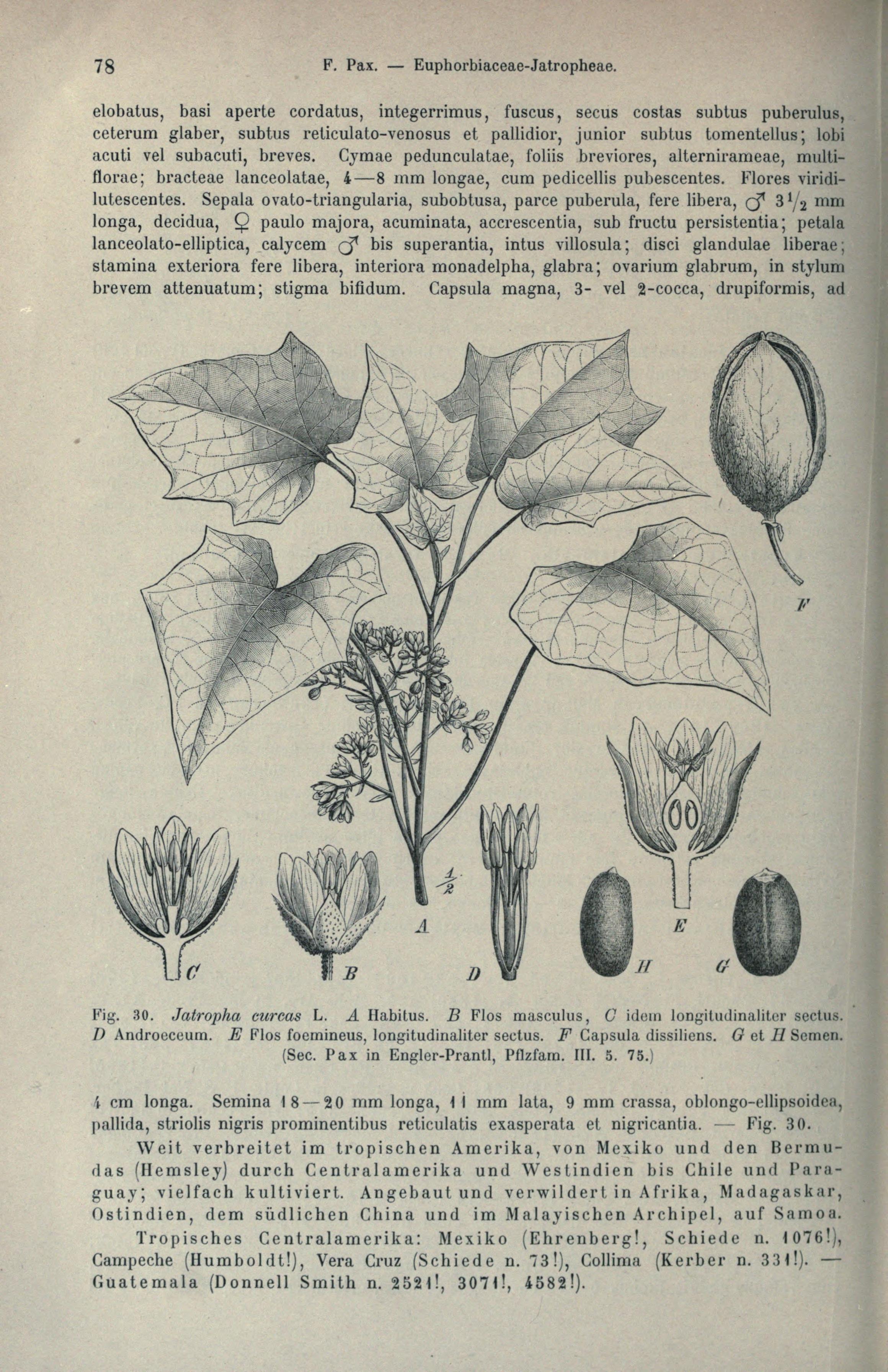 no full size  illustration available (3a)