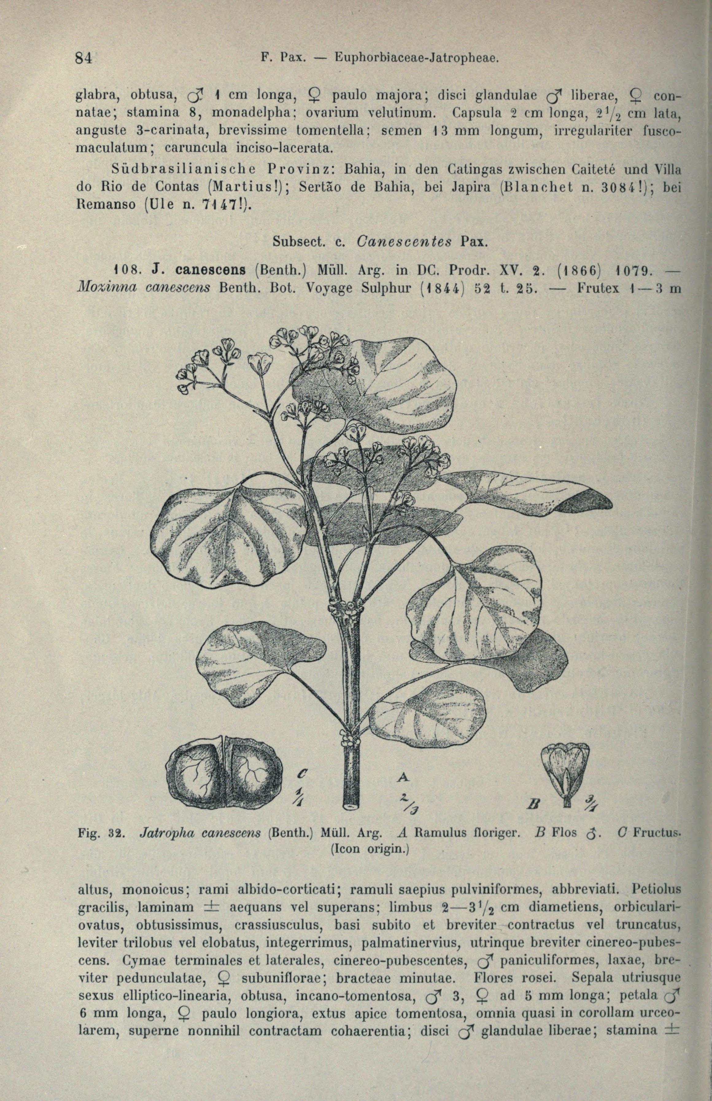 no full size  illustration available (3a)