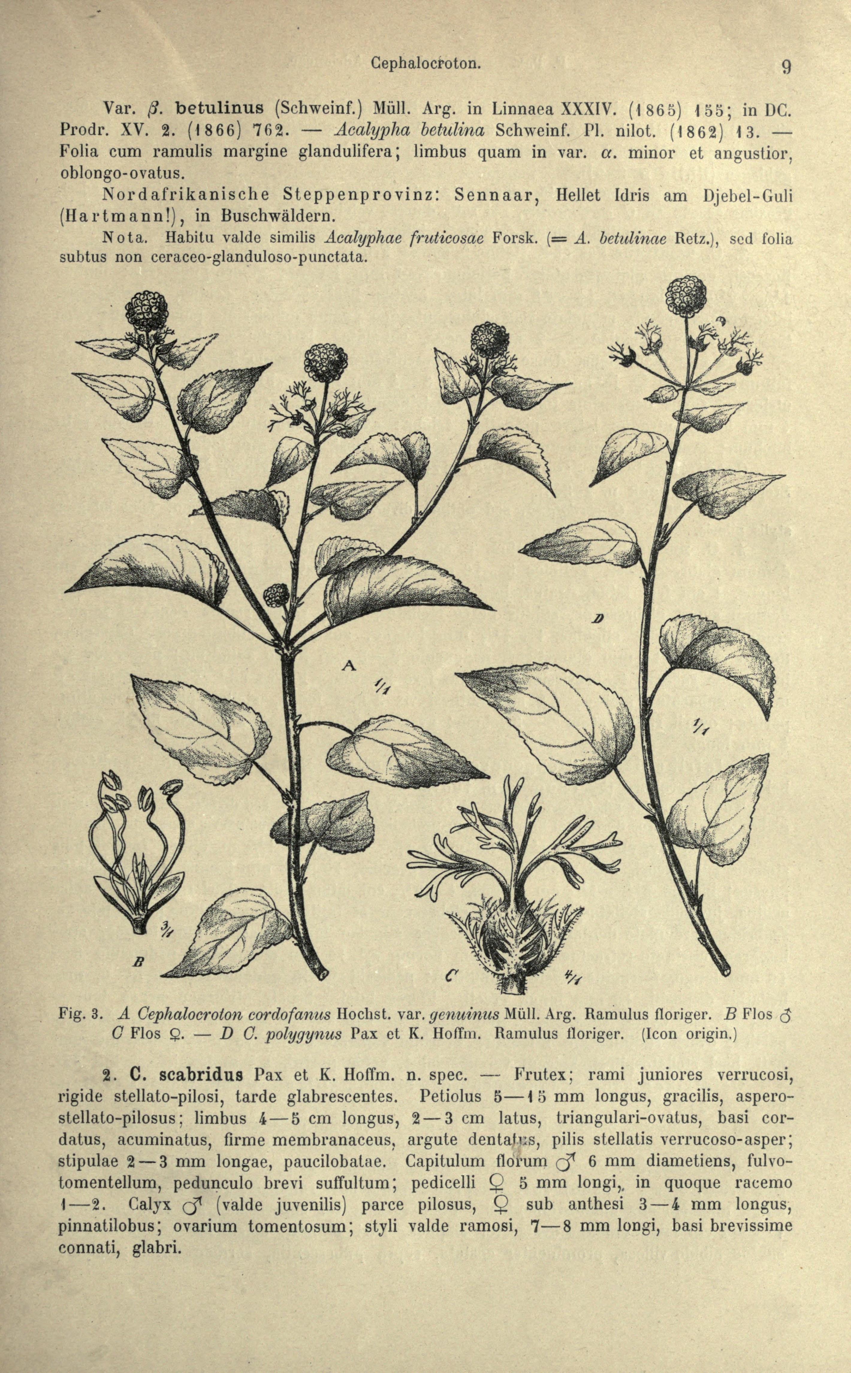 no full size  illustration available (3a)