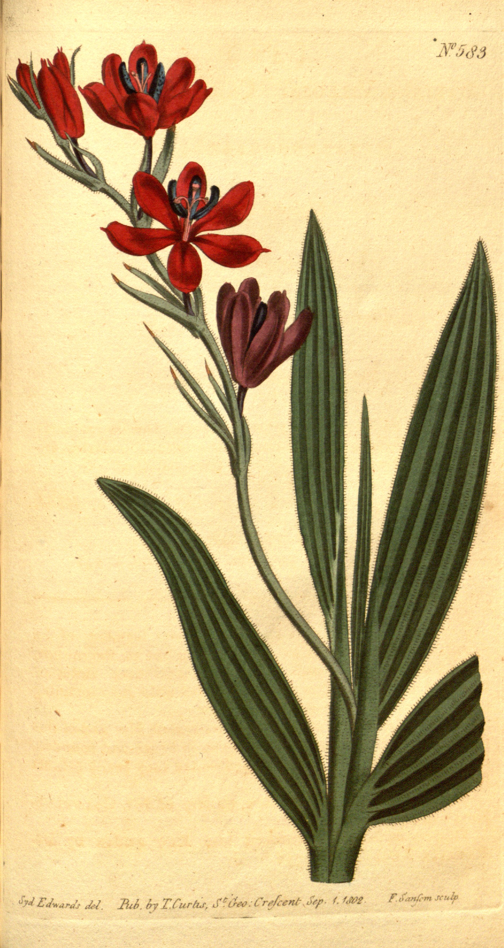 no full size  illustration available (3a)