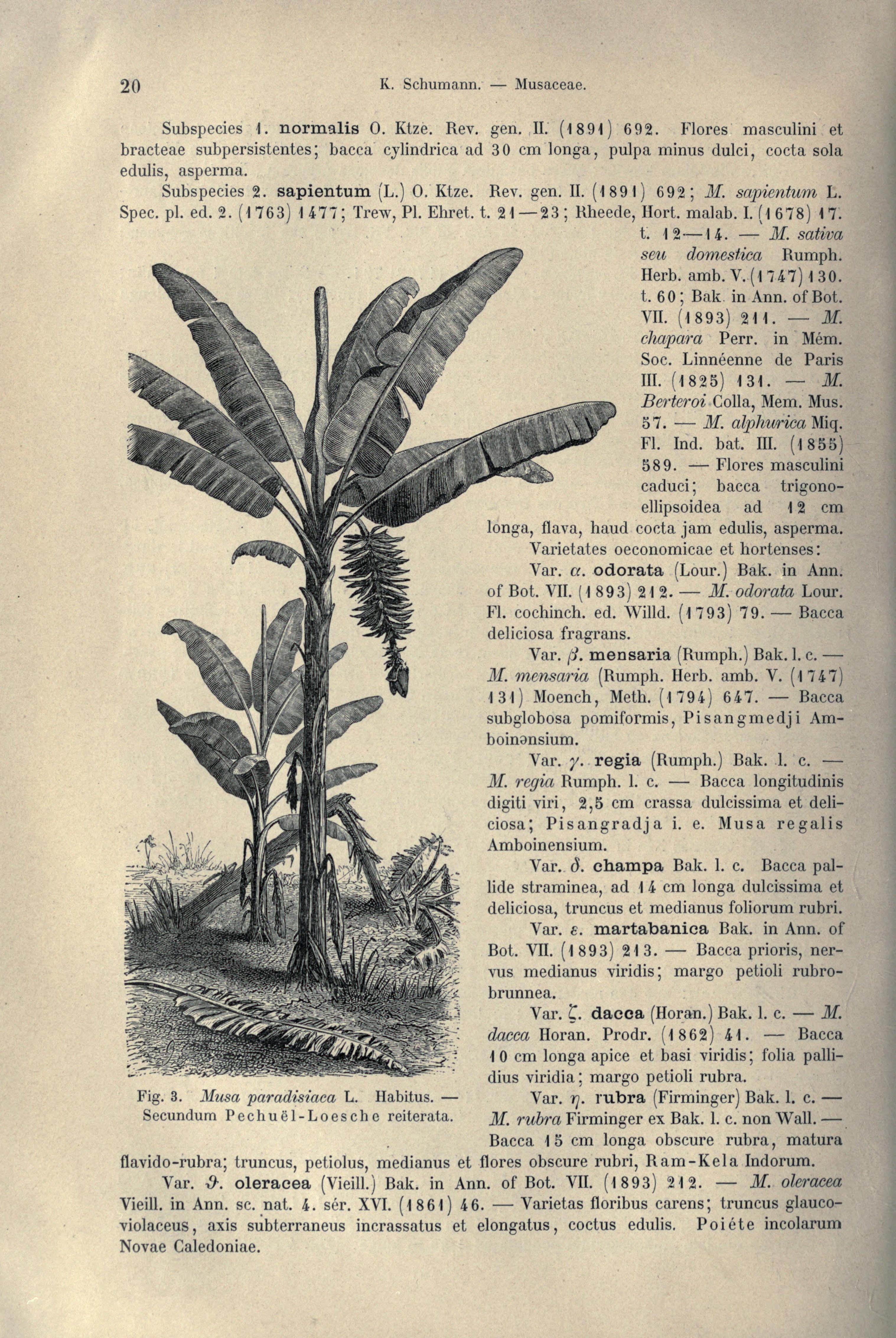 no full size  illustration available (3a)