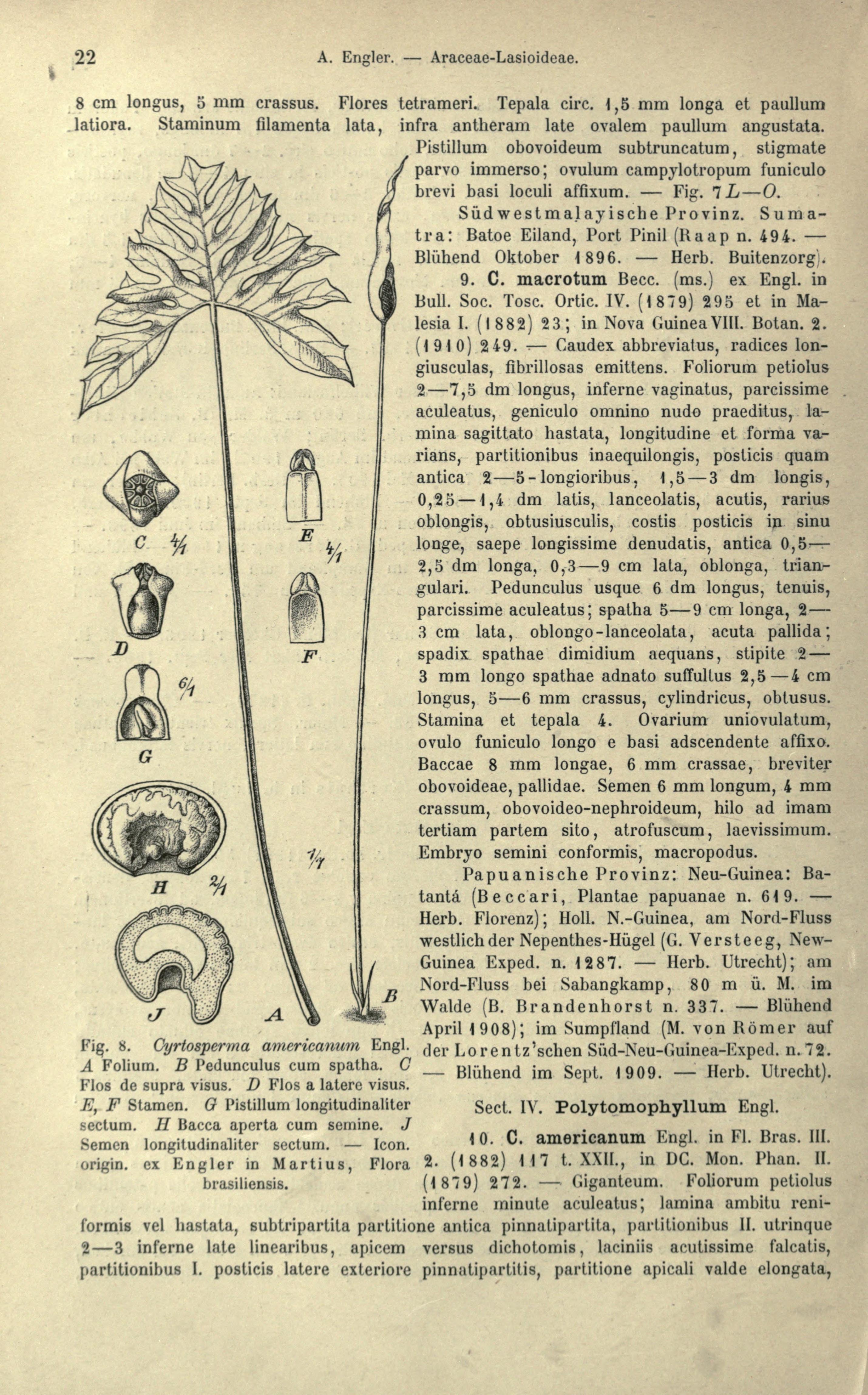 no full size  illustration available (3a)