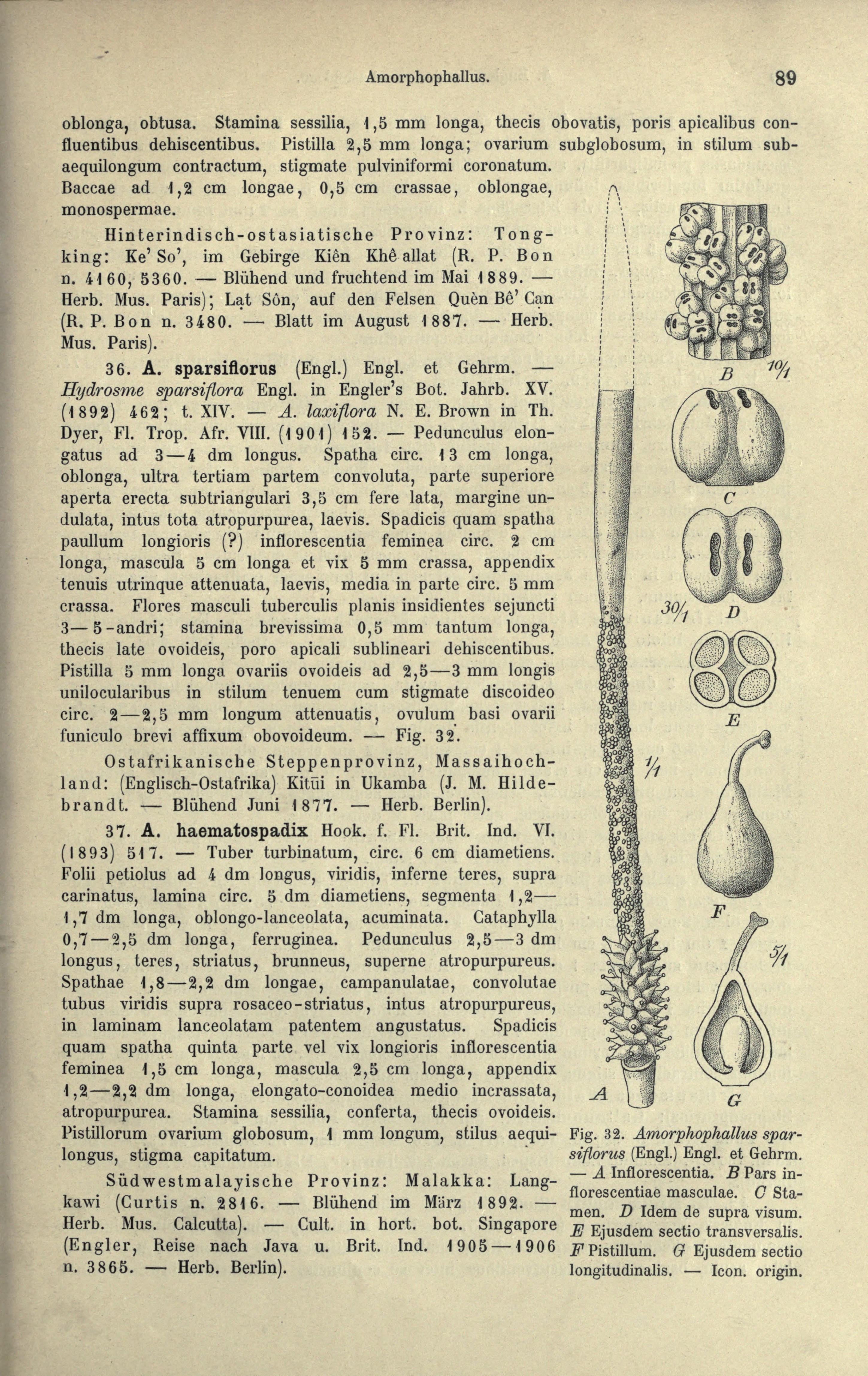 no full size  illustration available (3a)