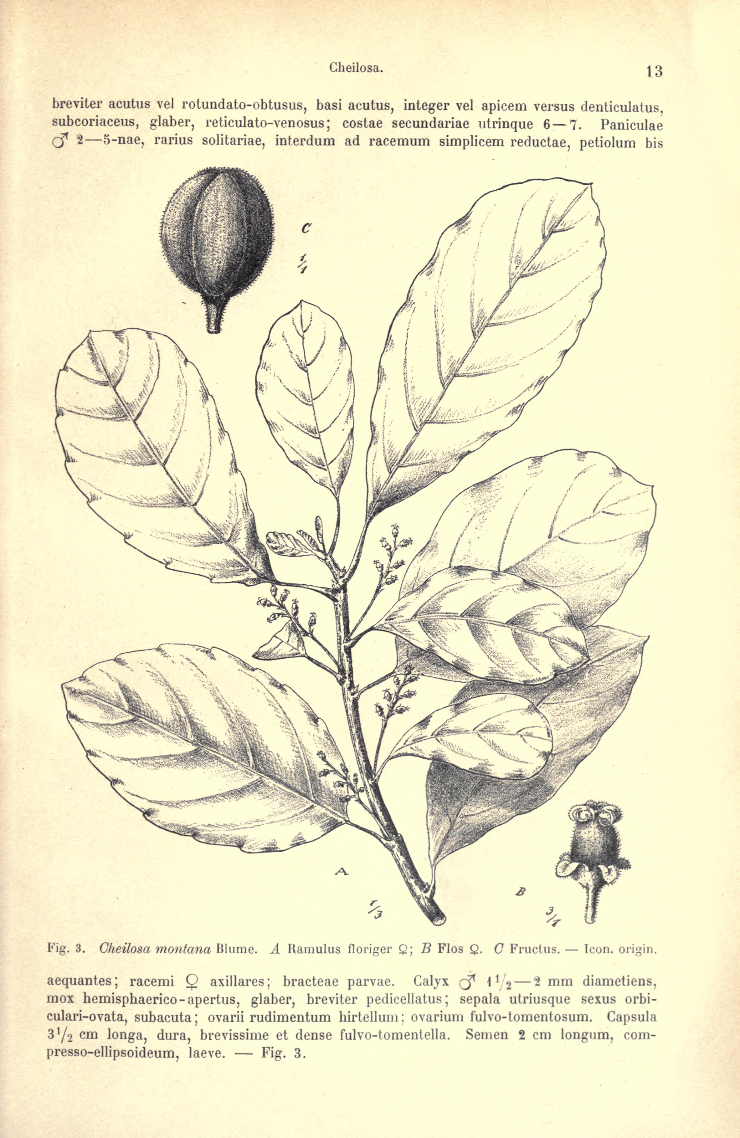 no full size  illustration available (3a)