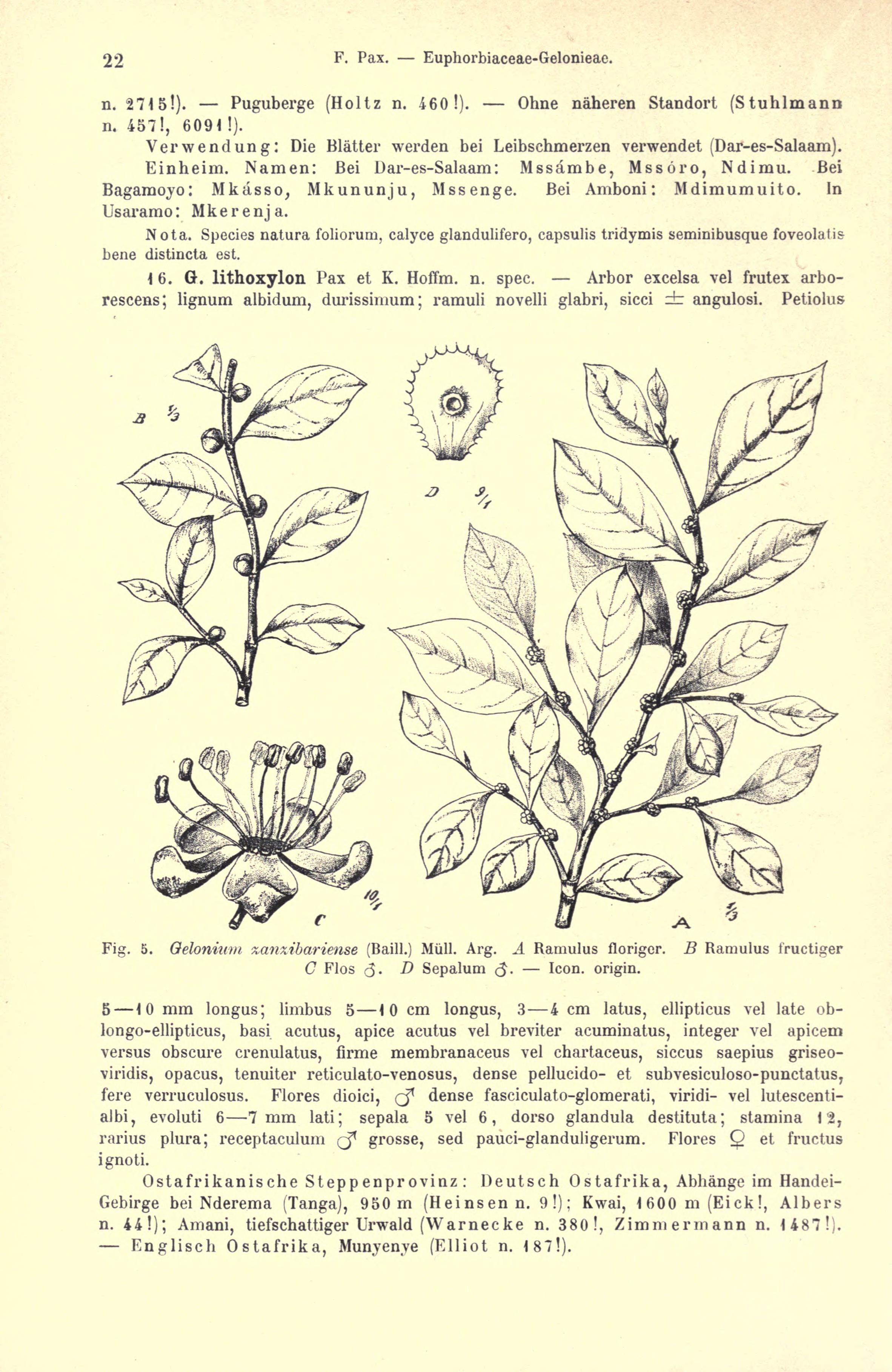 no full size  illustration available (3a)