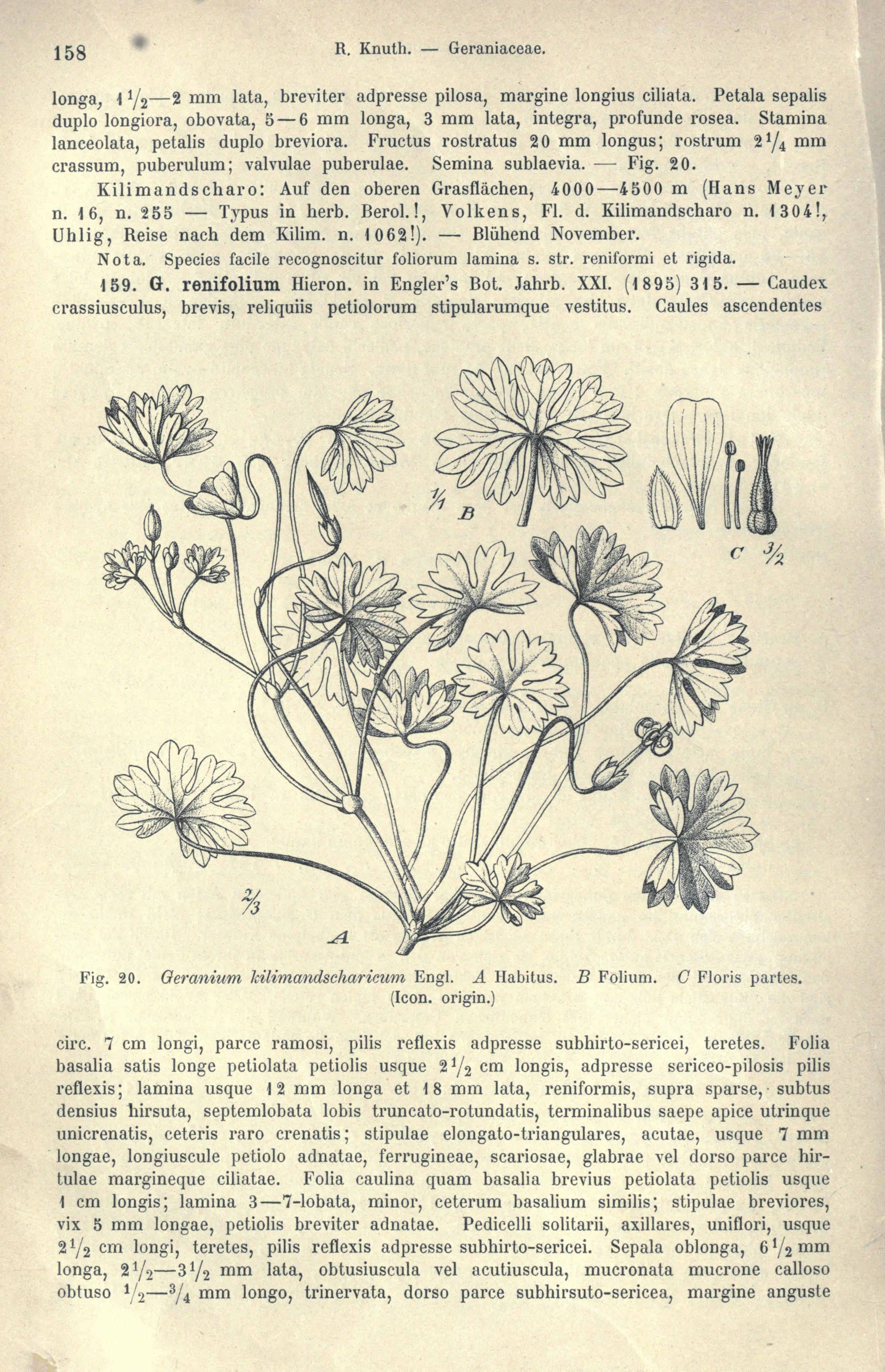 no full size  illustration available (3a)