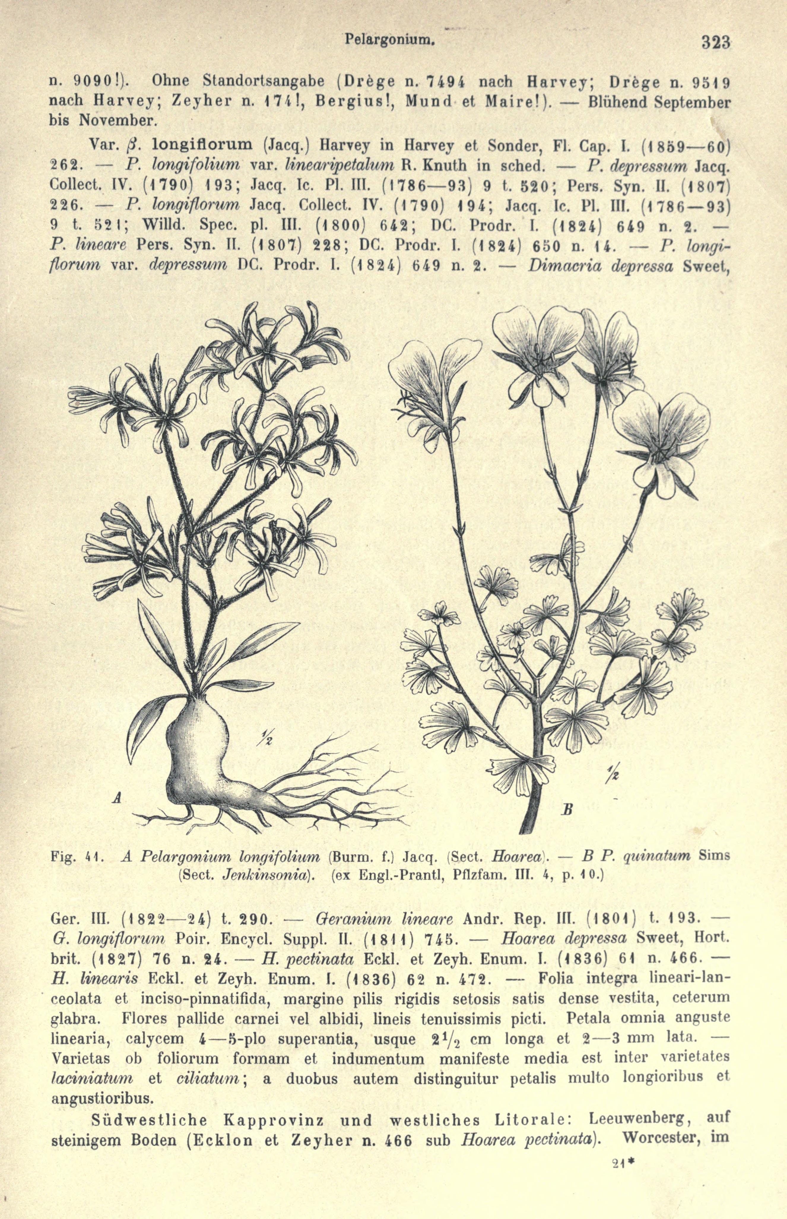 no full size  illustration available (3a)