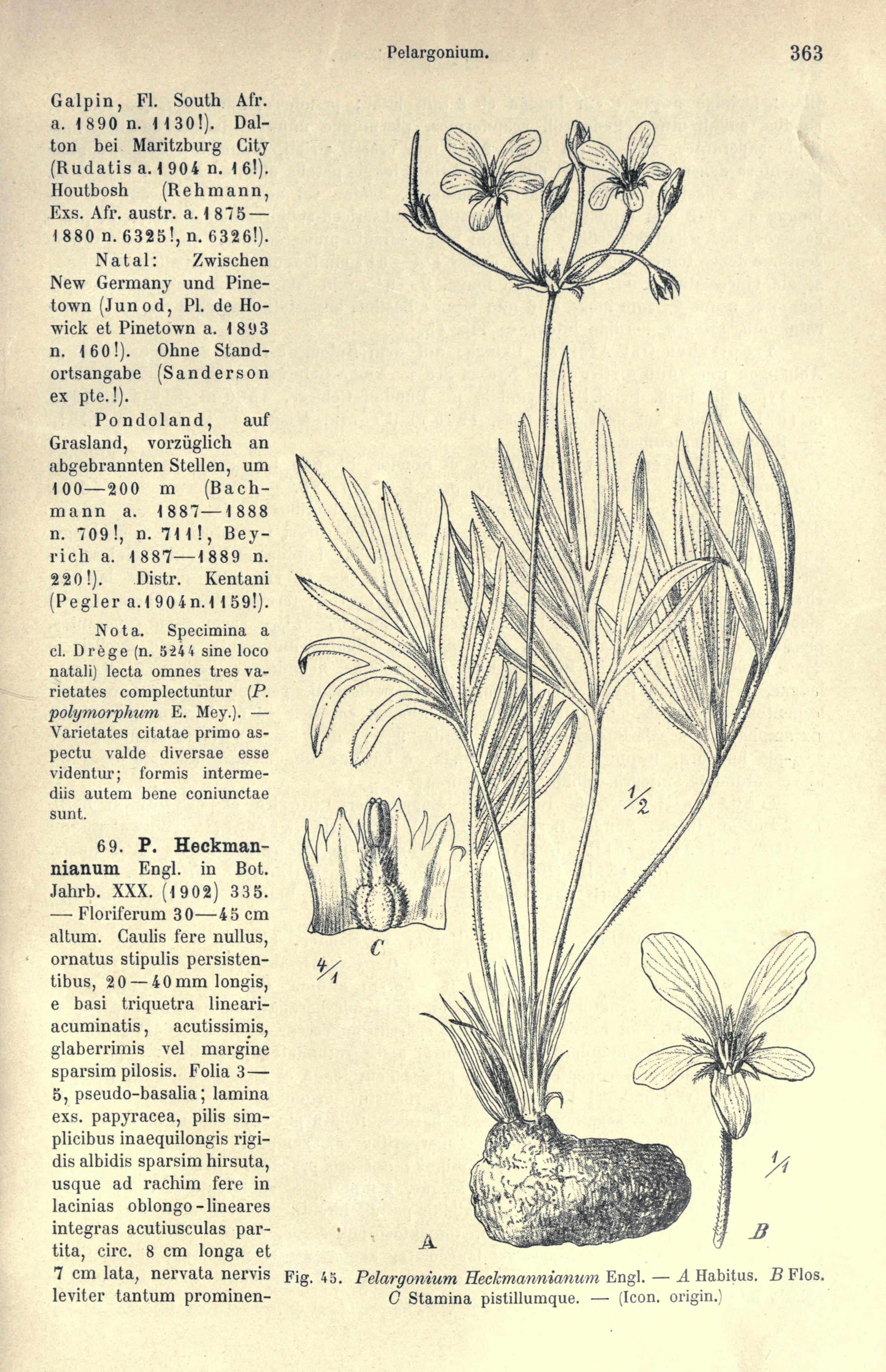 no full size  illustration available (3a)