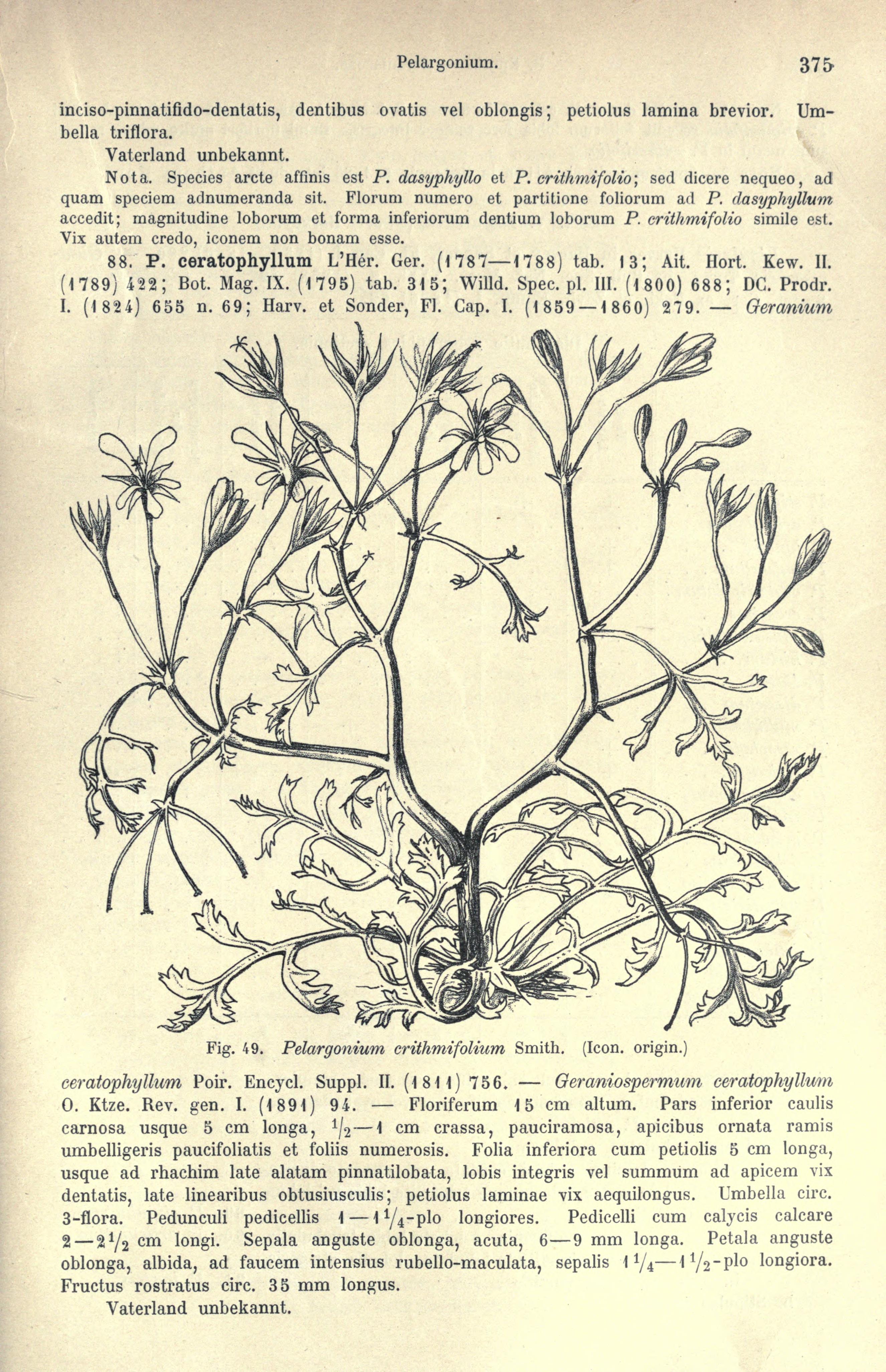 no full size  illustration available (3a)