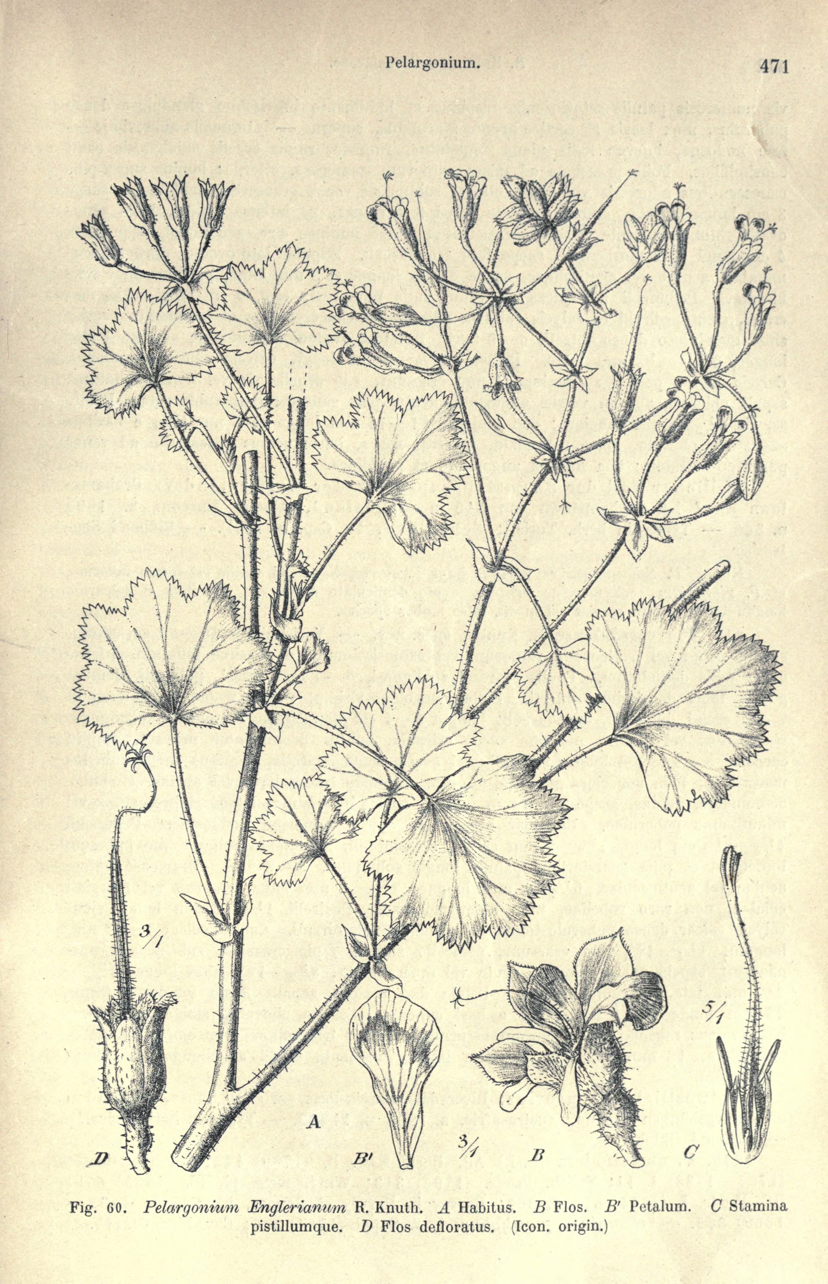 no full size  illustration available (3a)