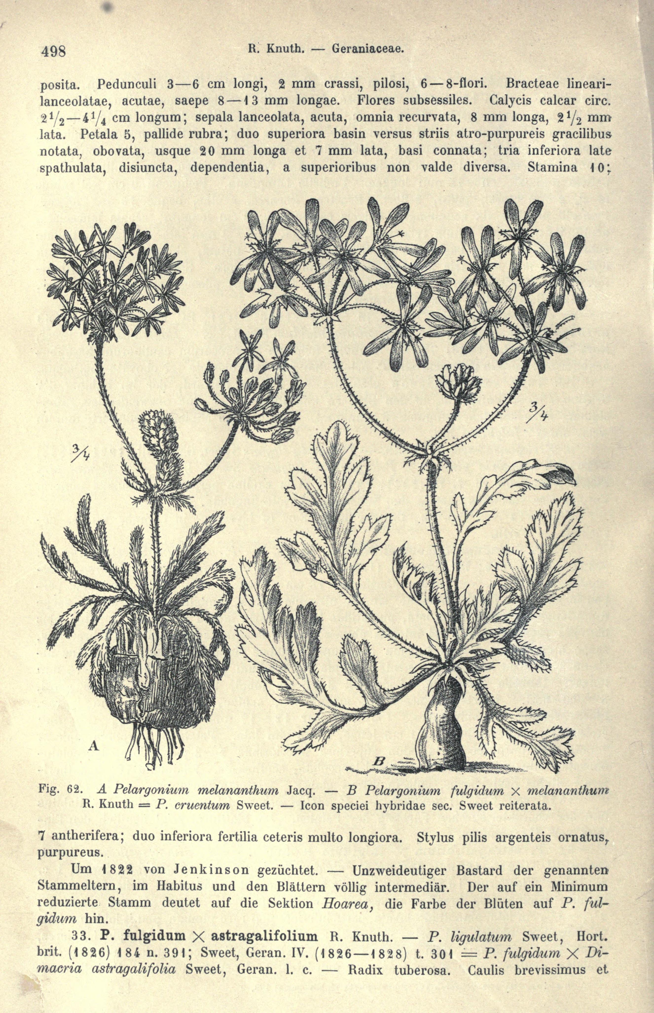 no full size  illustration available (3a)