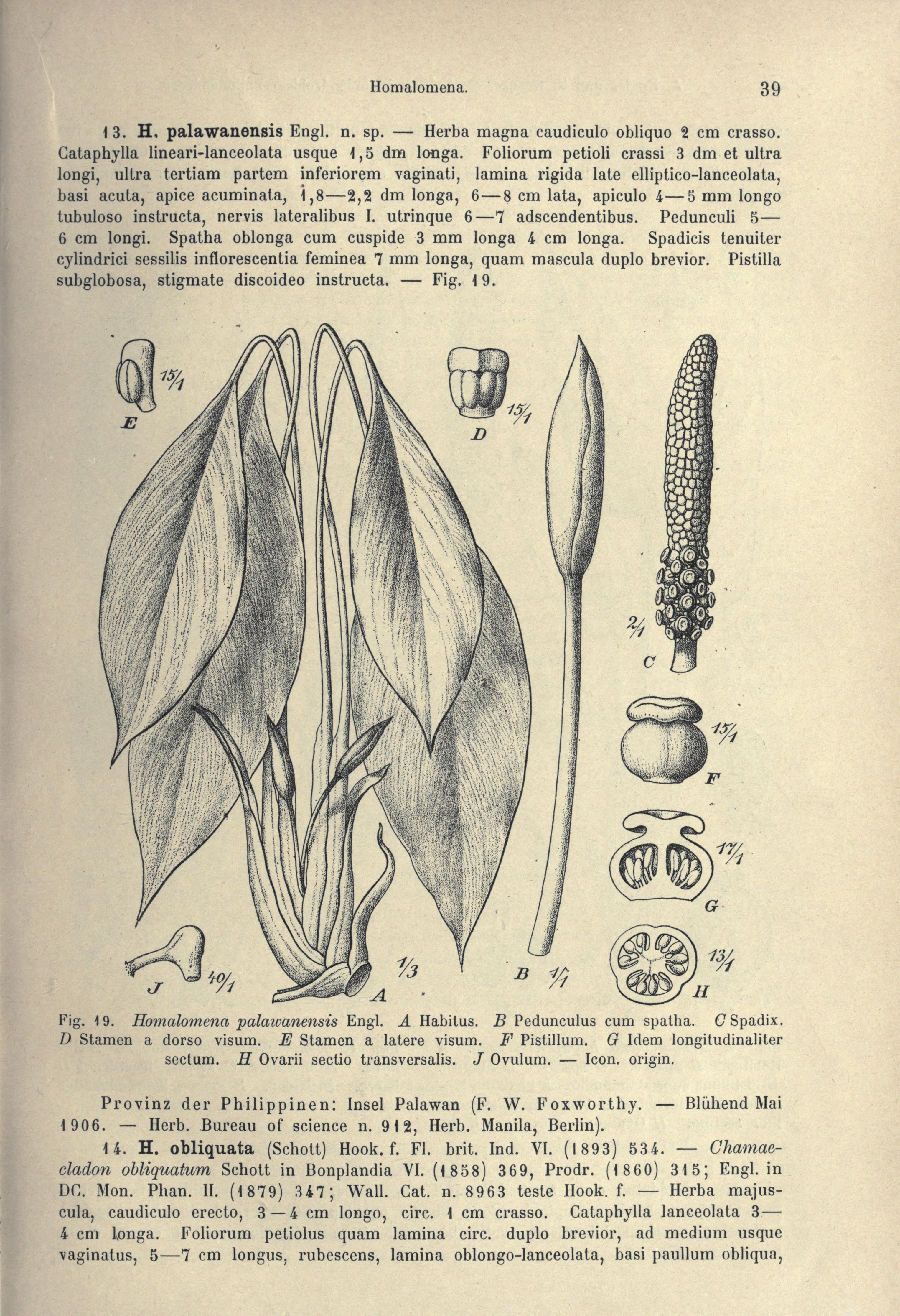 no full size  illustration available (3a)