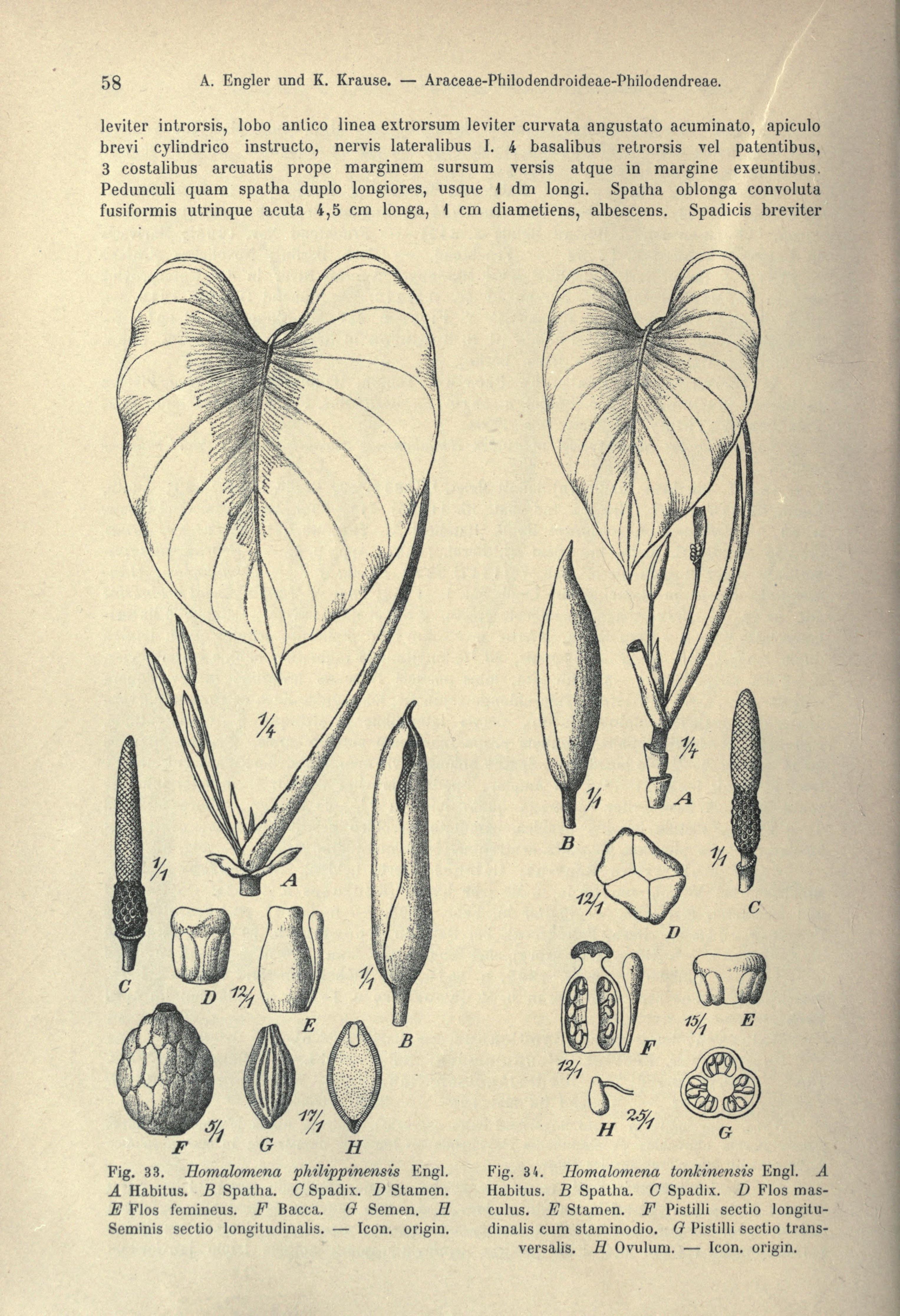 no full size  illustration available (3a)