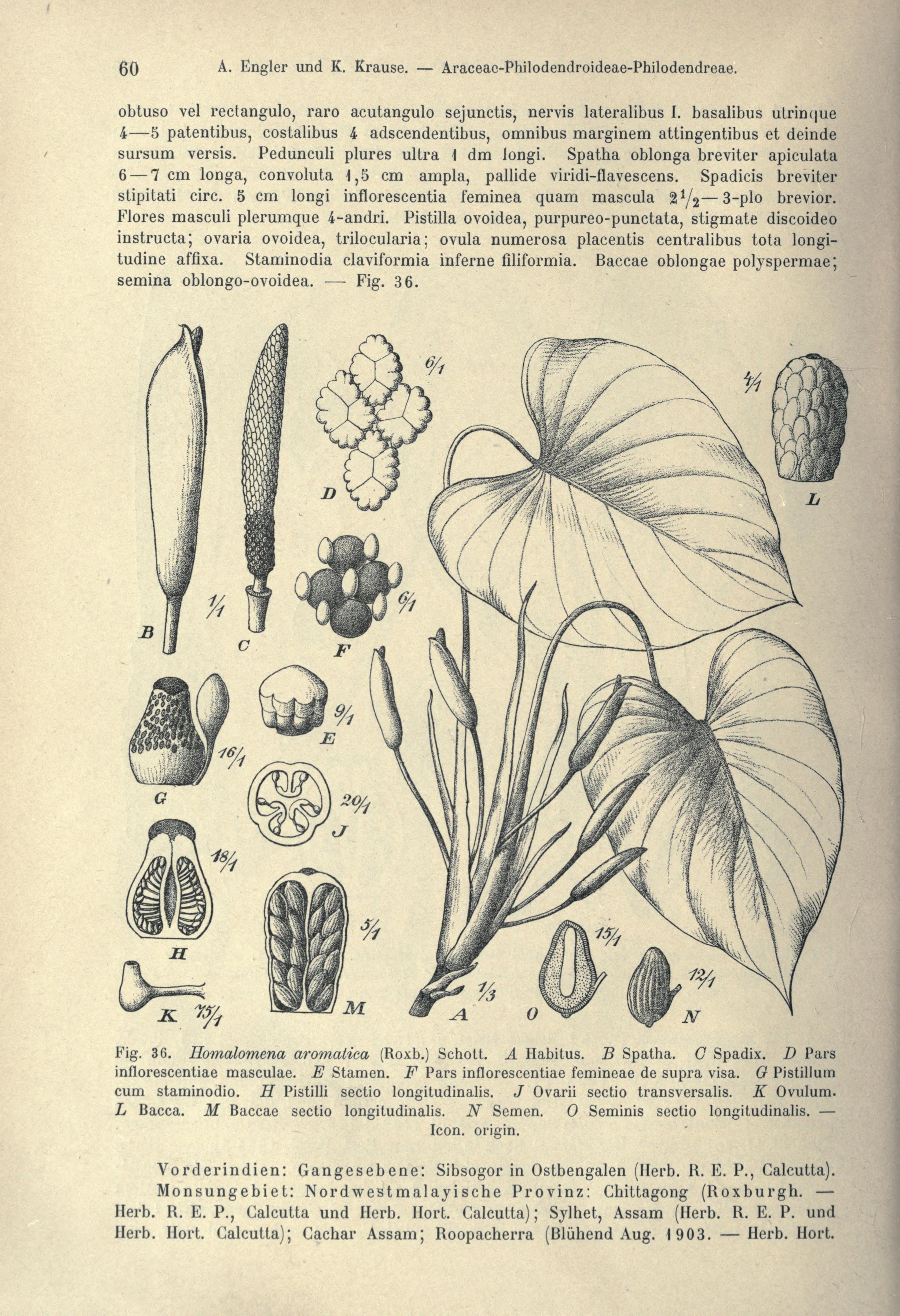 no full size  illustration available (3a)