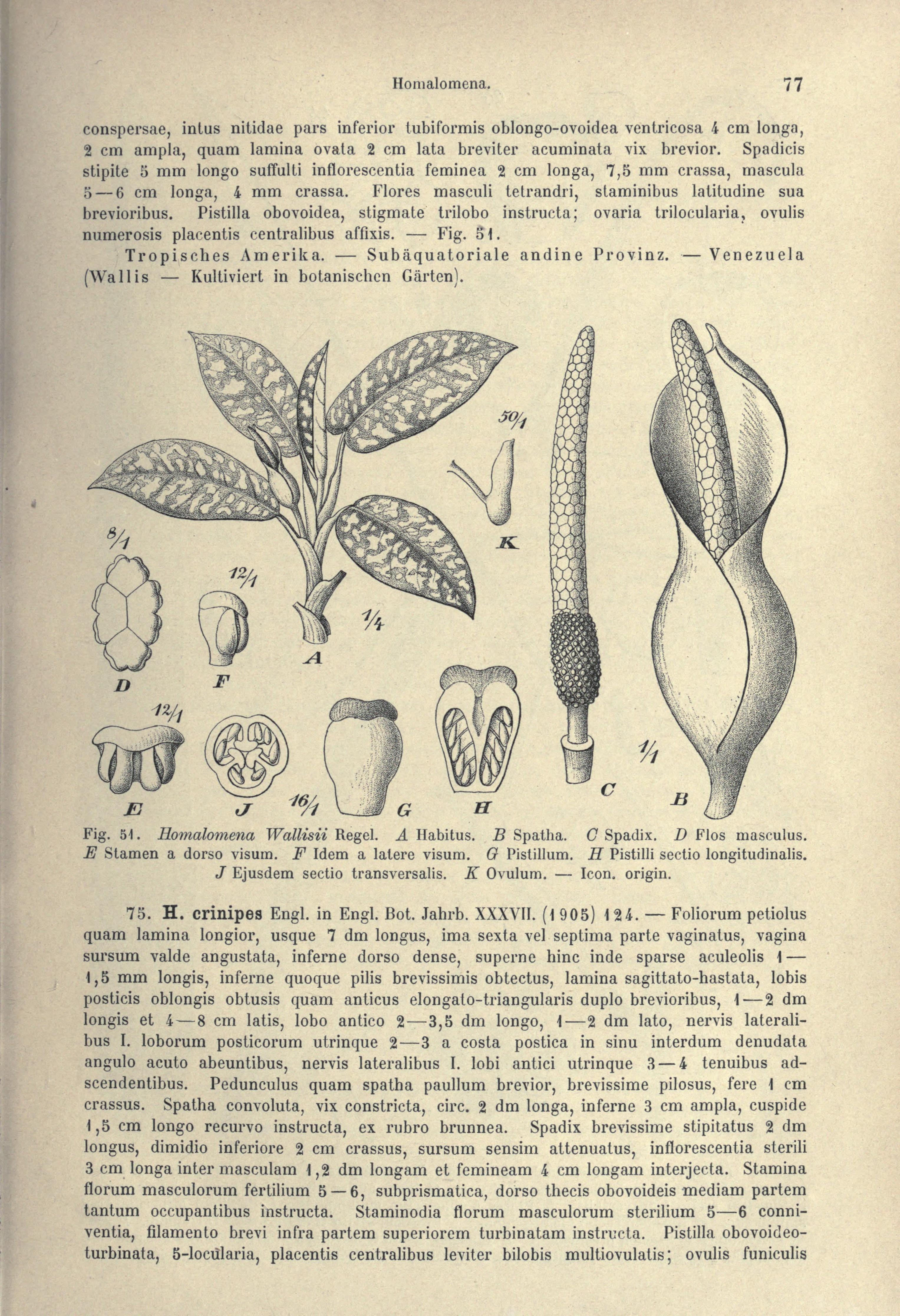 no full size  illustration available (3a)