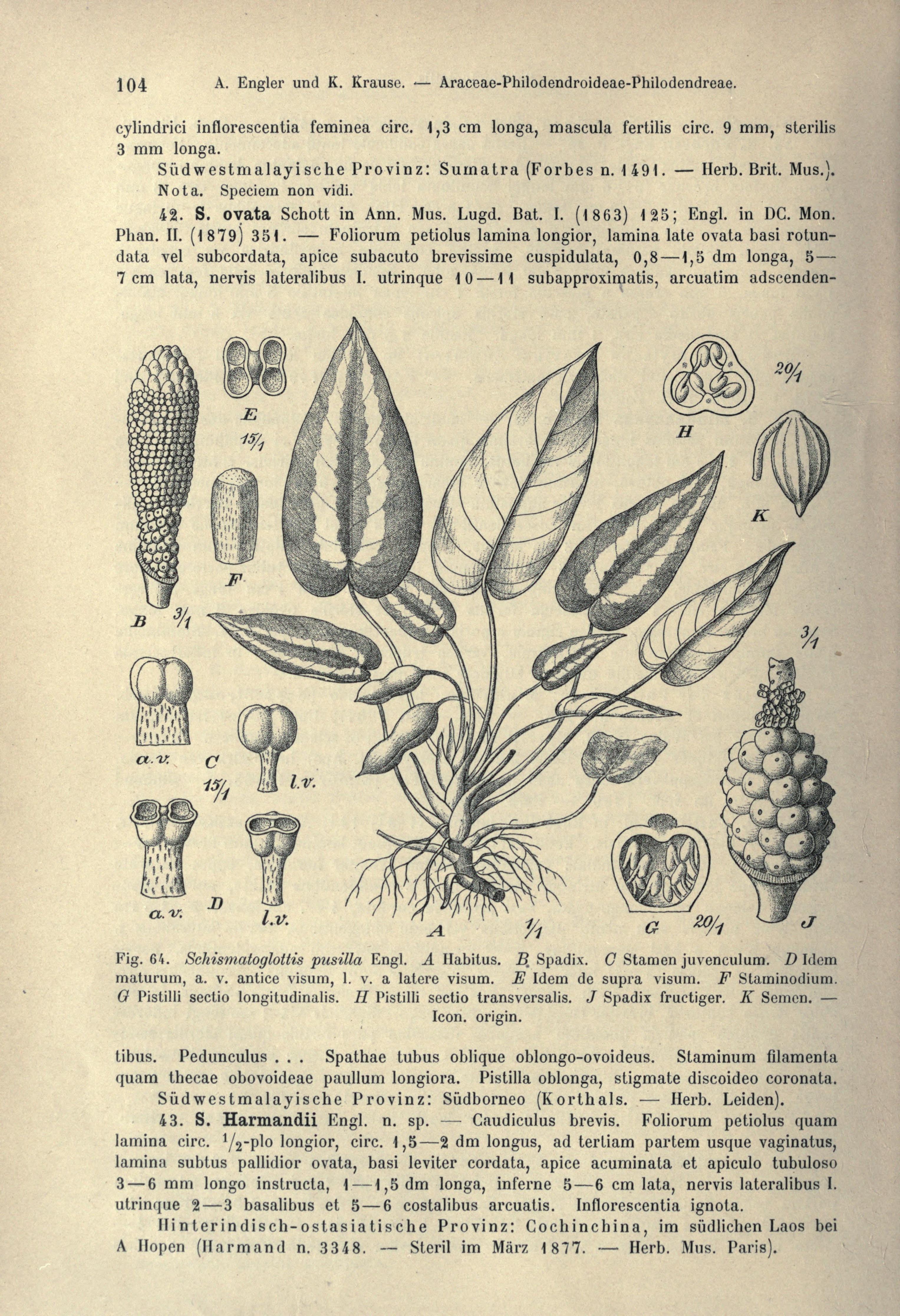 no full size  illustration available (3a)