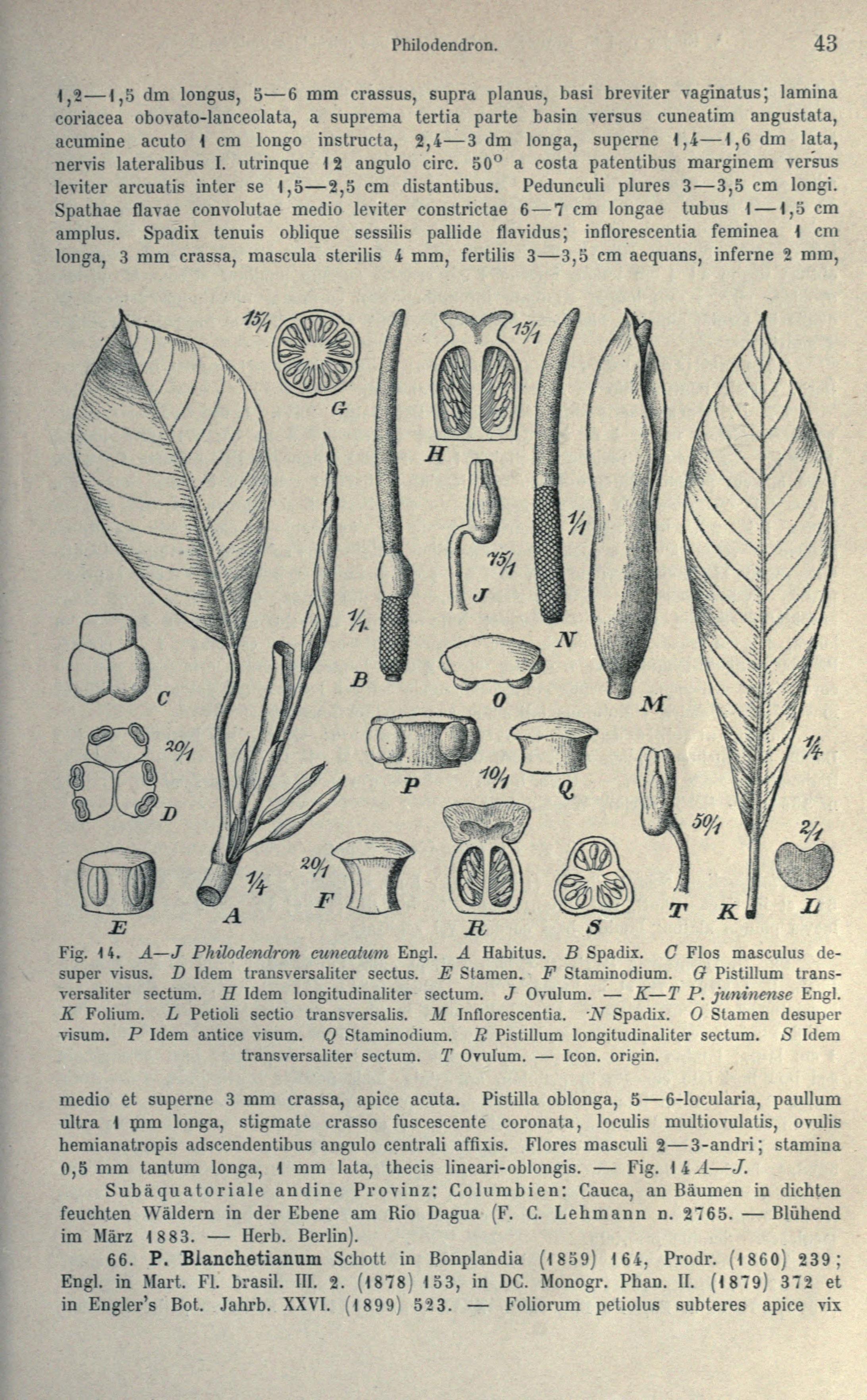 no full size  illustration available (3a)