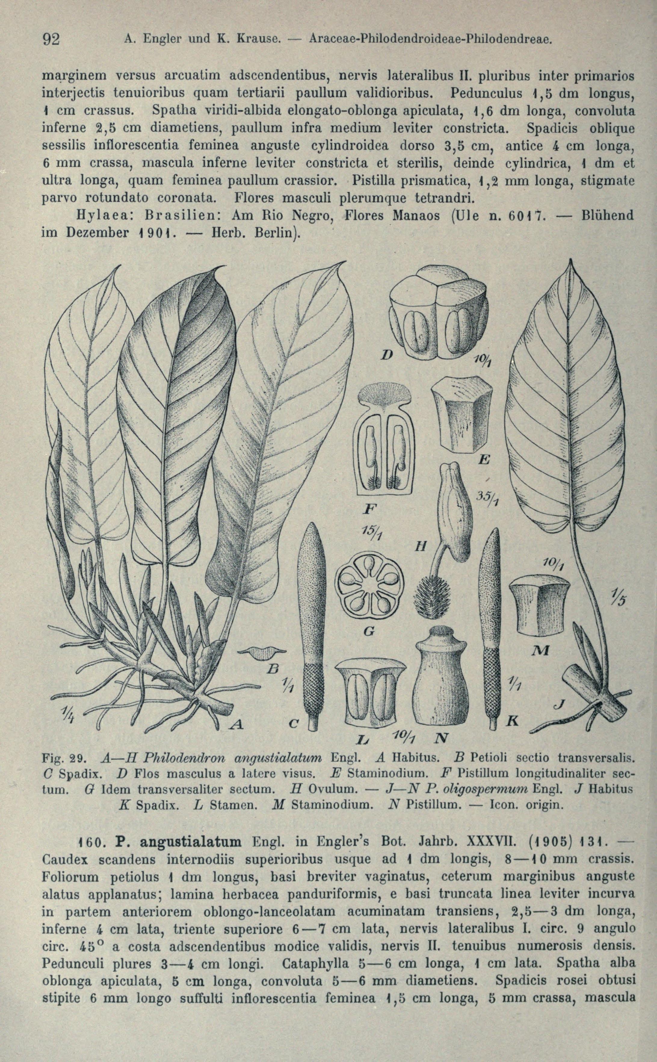 no full size  illustration available (3a)