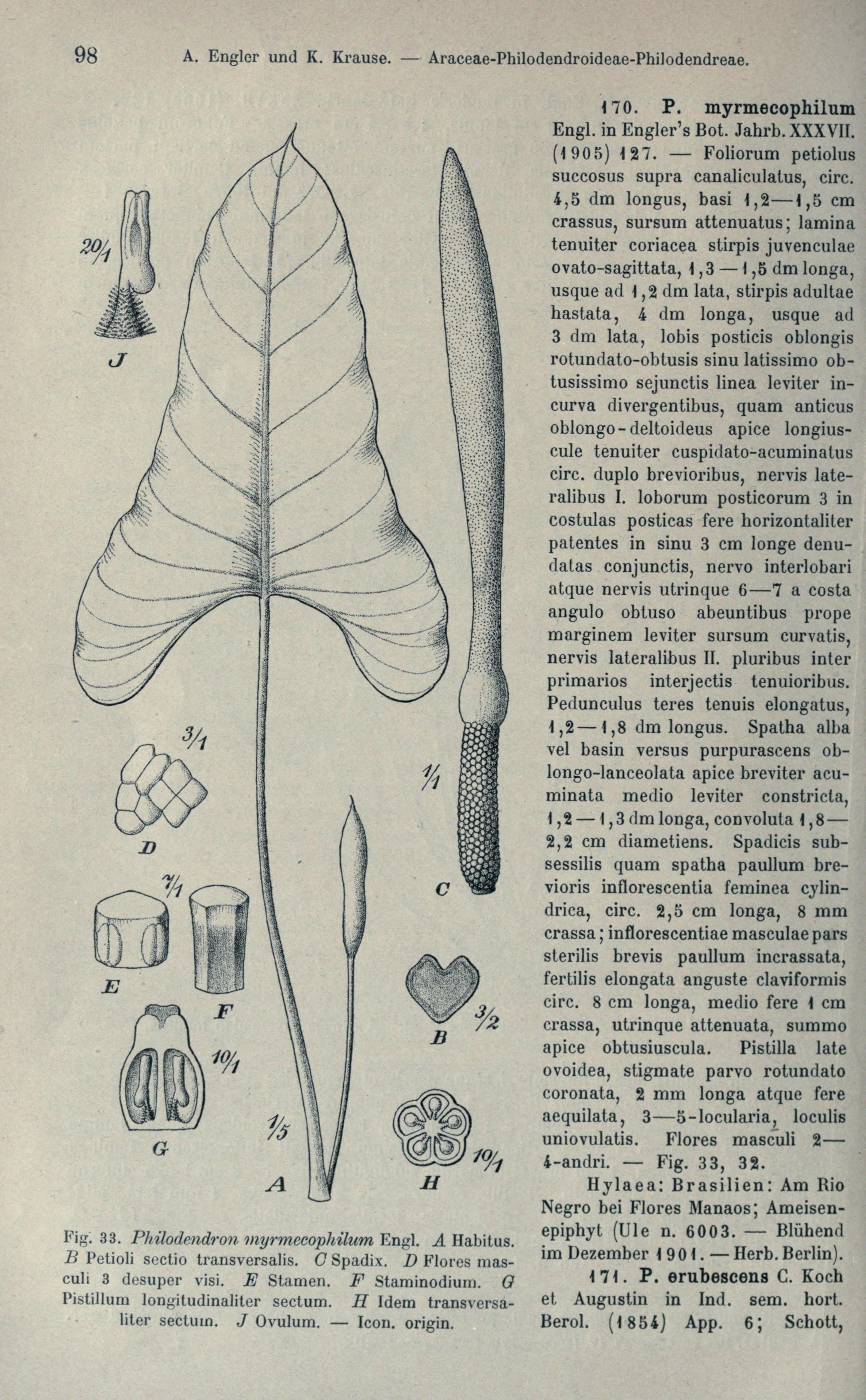 no full size  illustration available (3a)