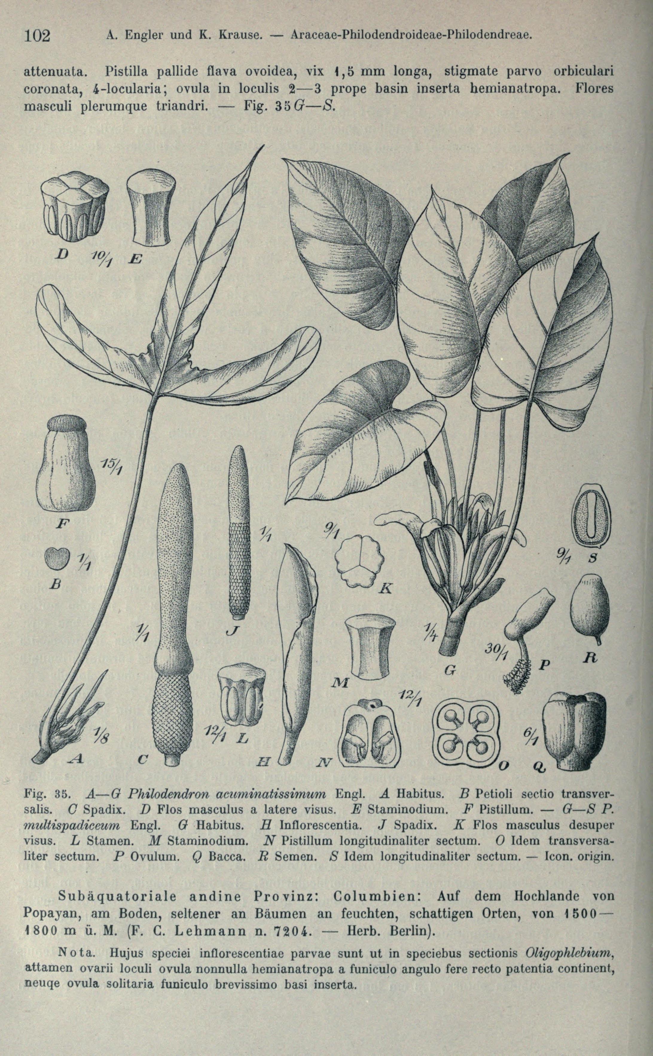 no full size  illustration available (3a)