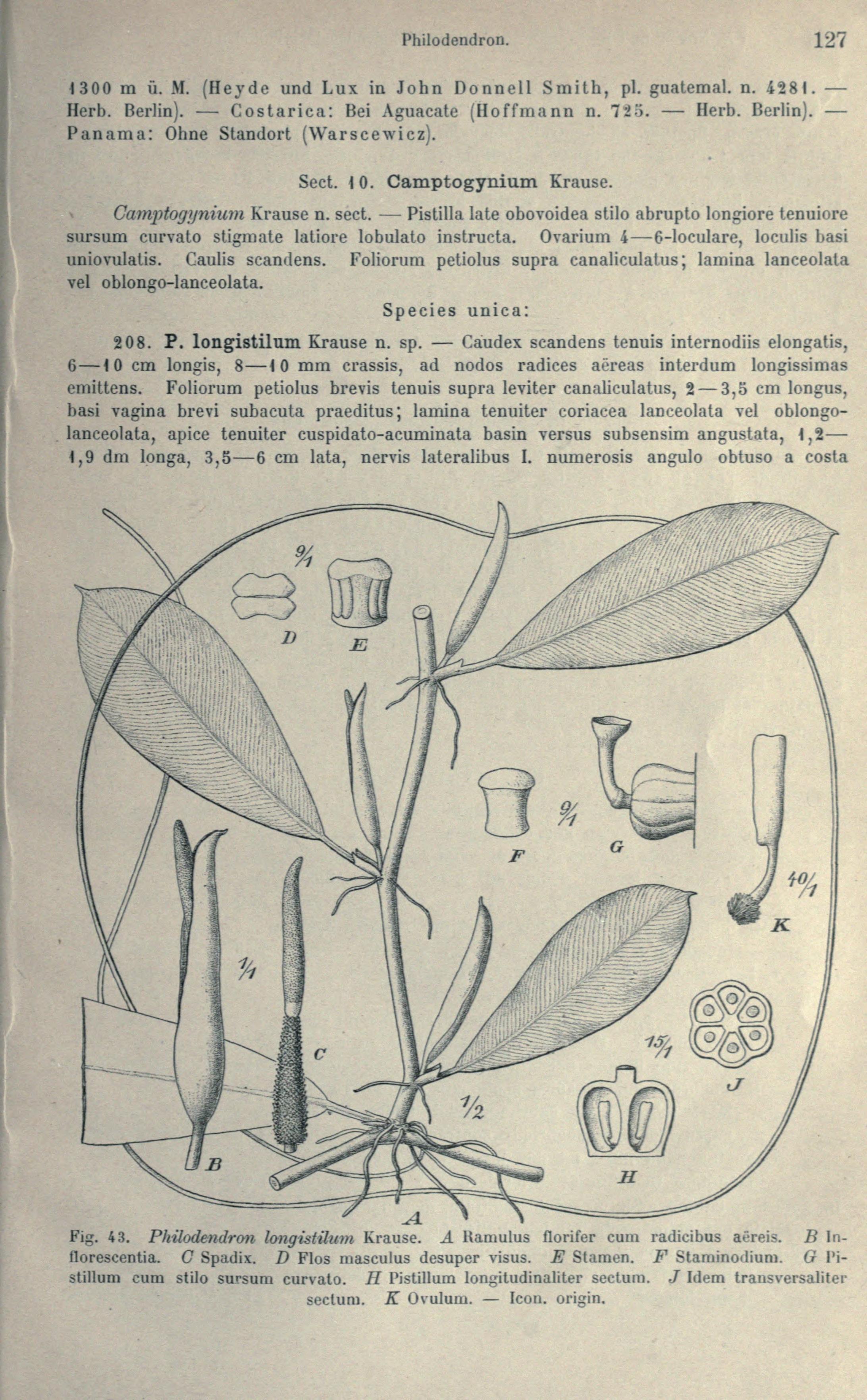 no full size  illustration available (3a)