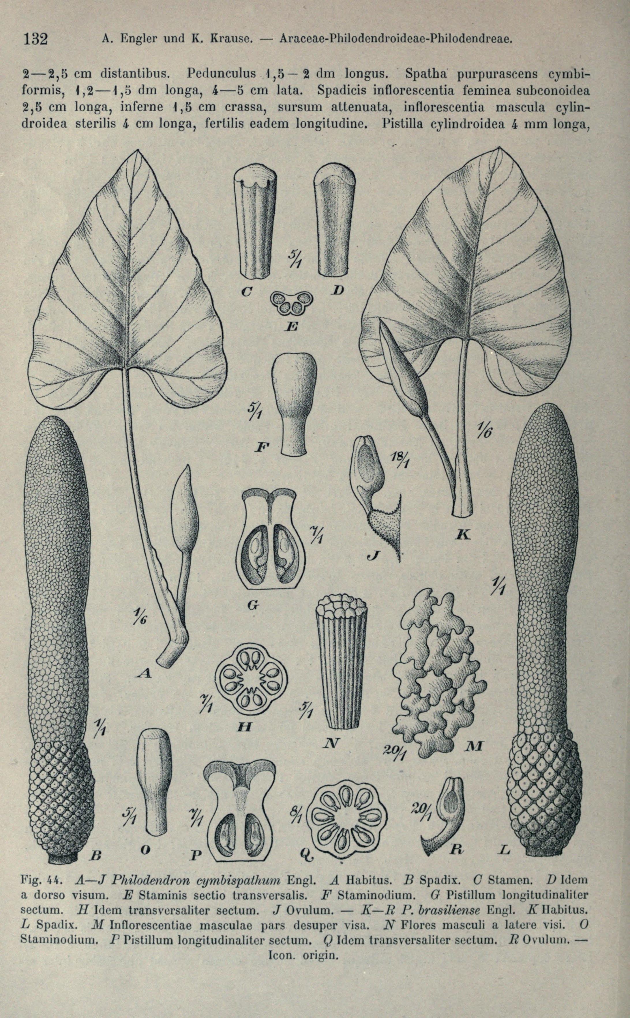 no full size  illustration available (3a)