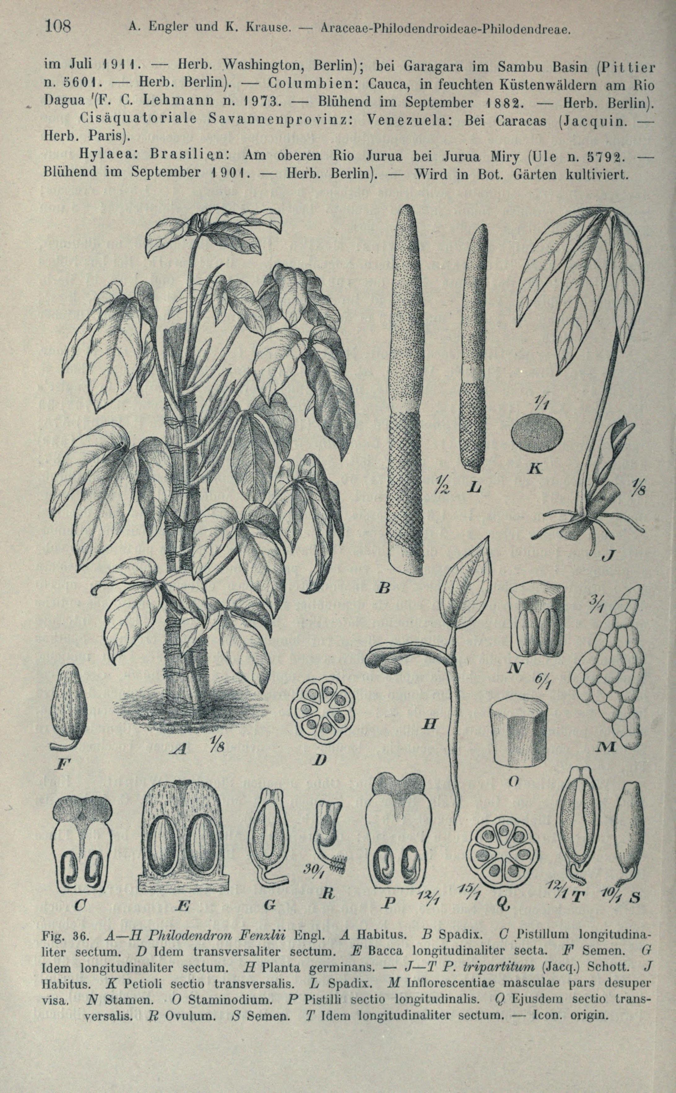 no full size  illustration available (3a)