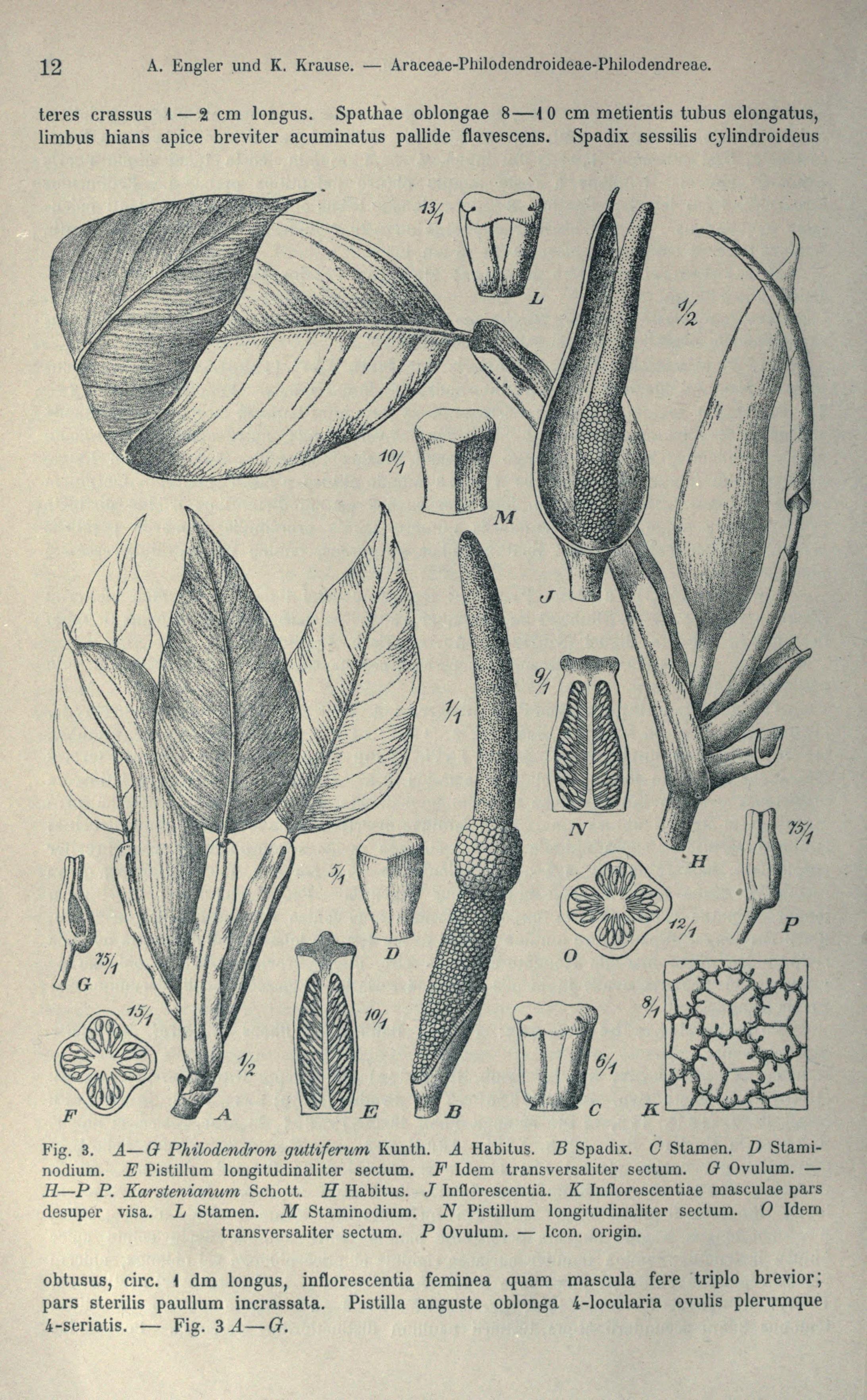 no full size  illustration available (3a)