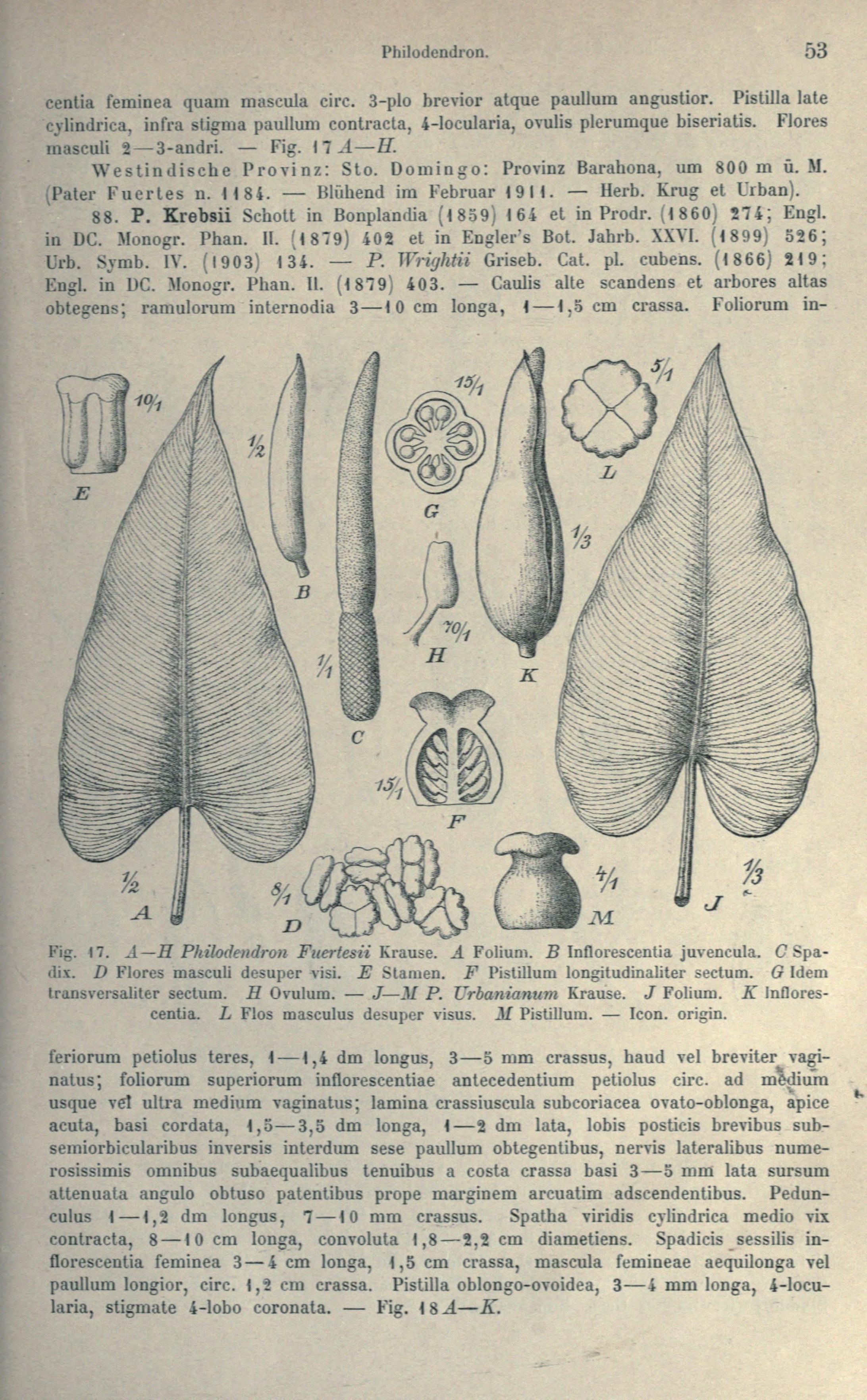 no full size  illustration available (3a)