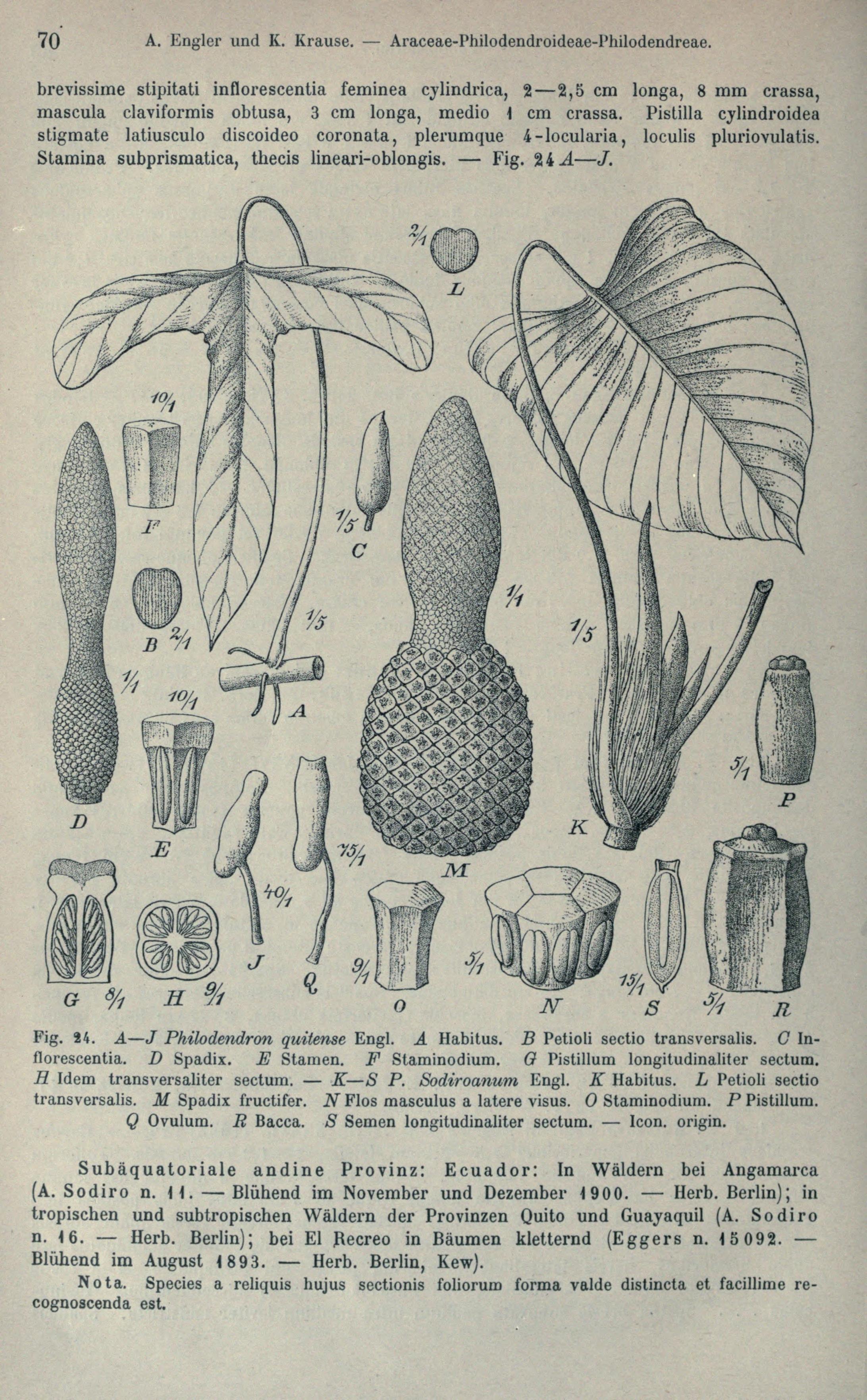 no full size  illustration available (3a)