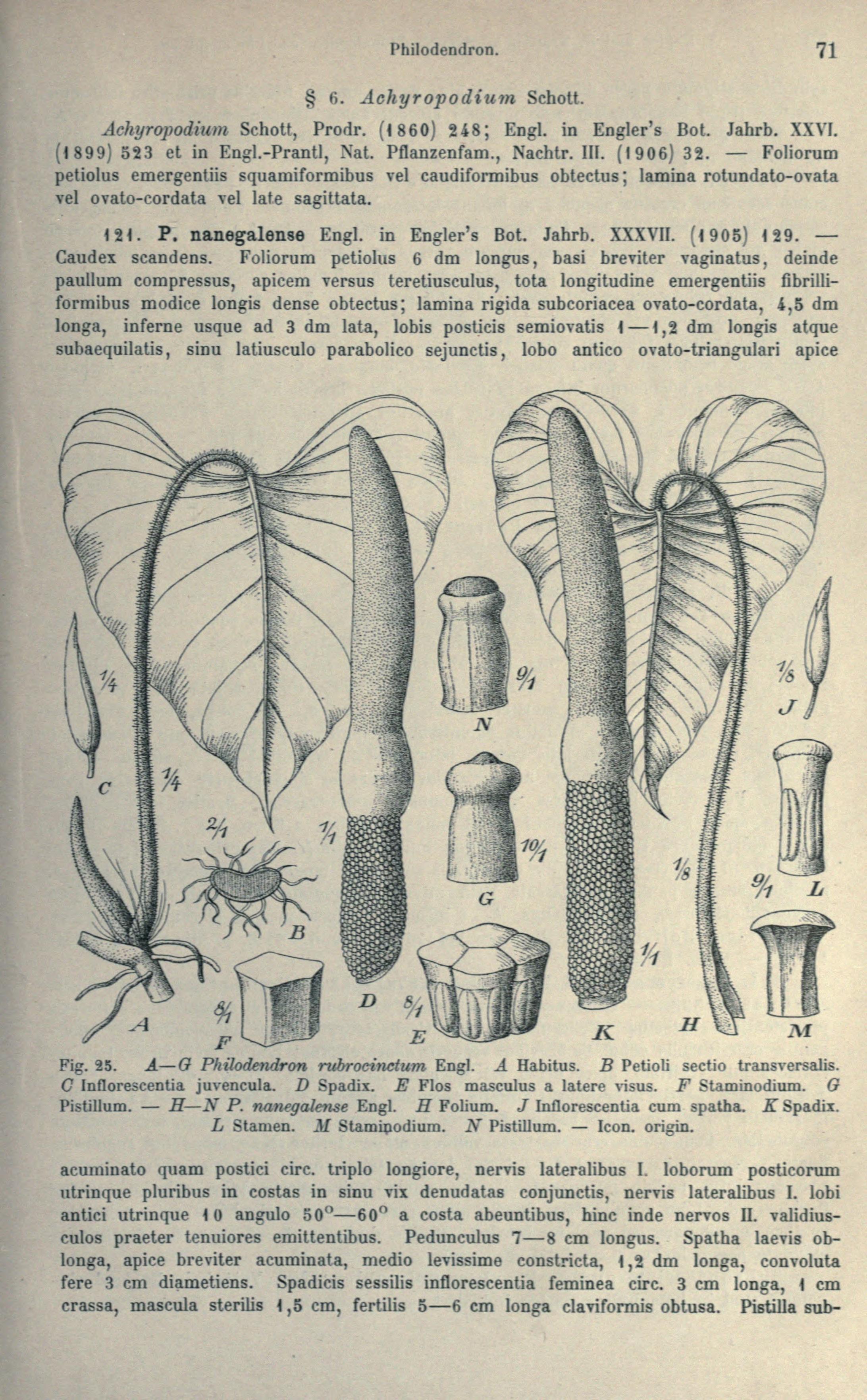 no full size  illustration available (3a)