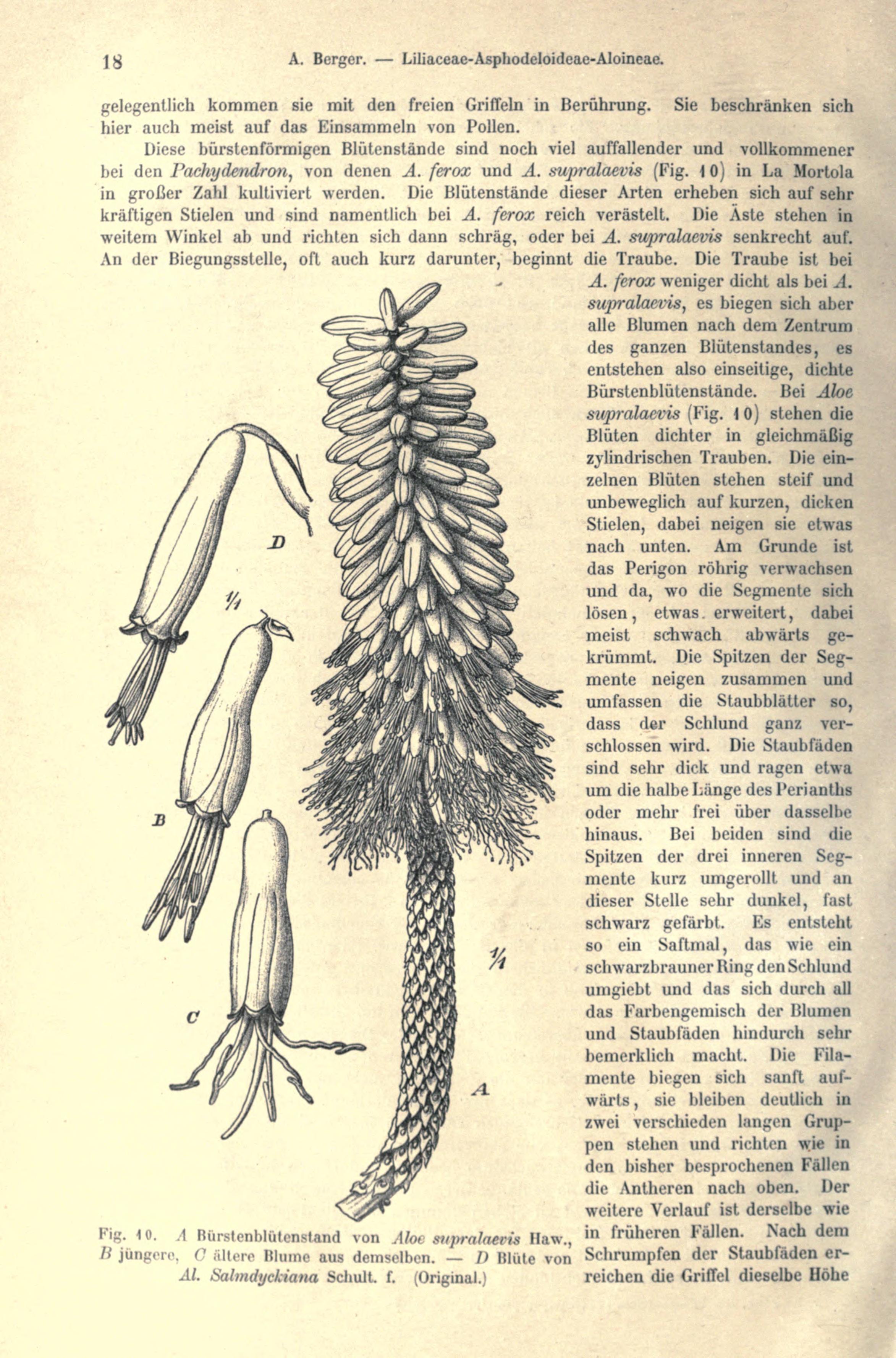 no full size  illustration available (3a)